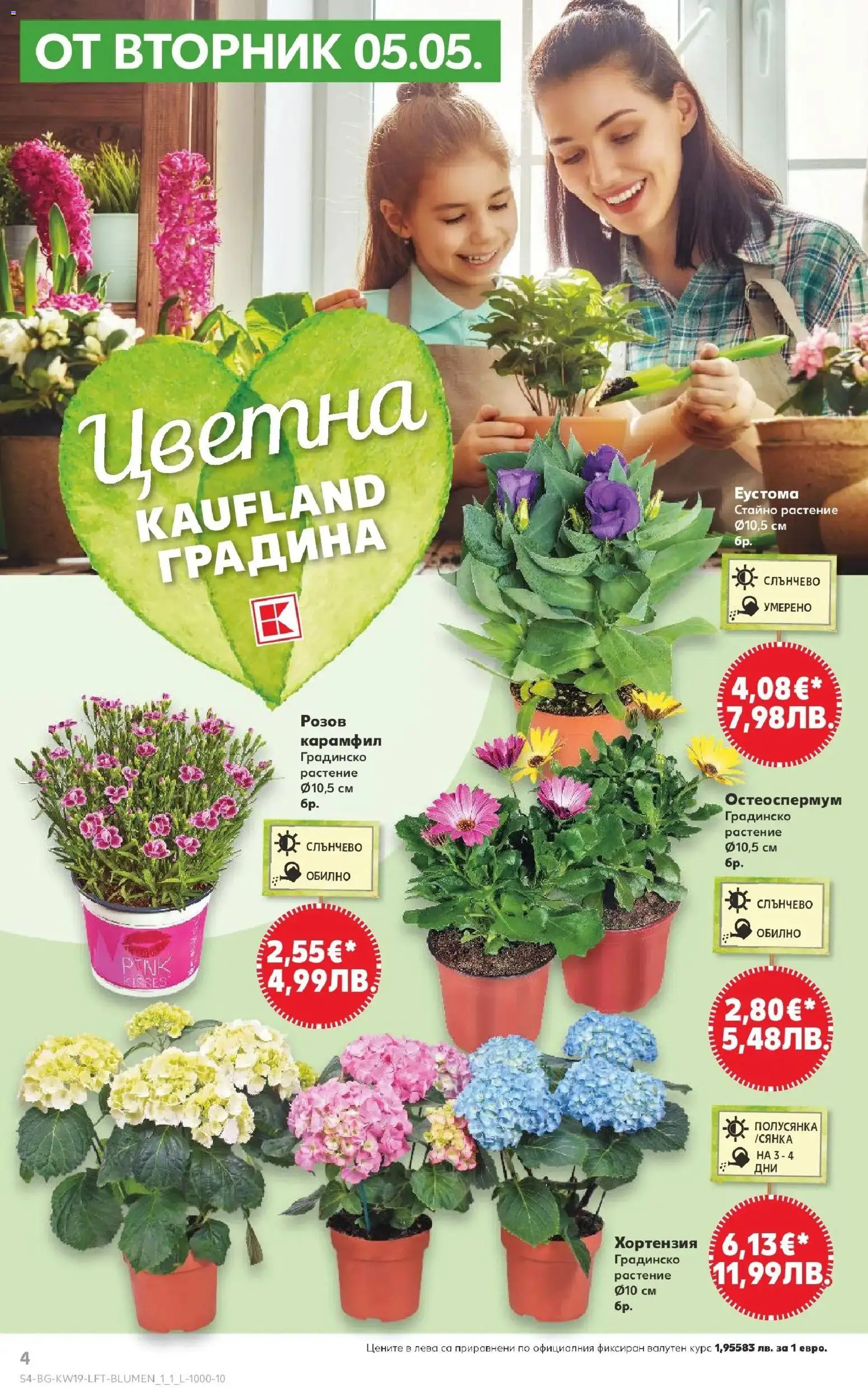 {H1} | Страница: 4 | Продукти: Карамфил