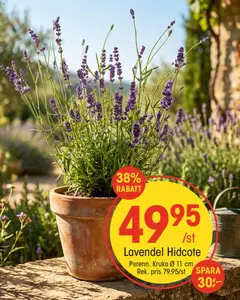 EKO erbjudanden - Förhandsvisning av reklamblad från butik EKO aktuell från 19/07/2026 | Sida: 4 | Produkter: Lavendel, Kruka