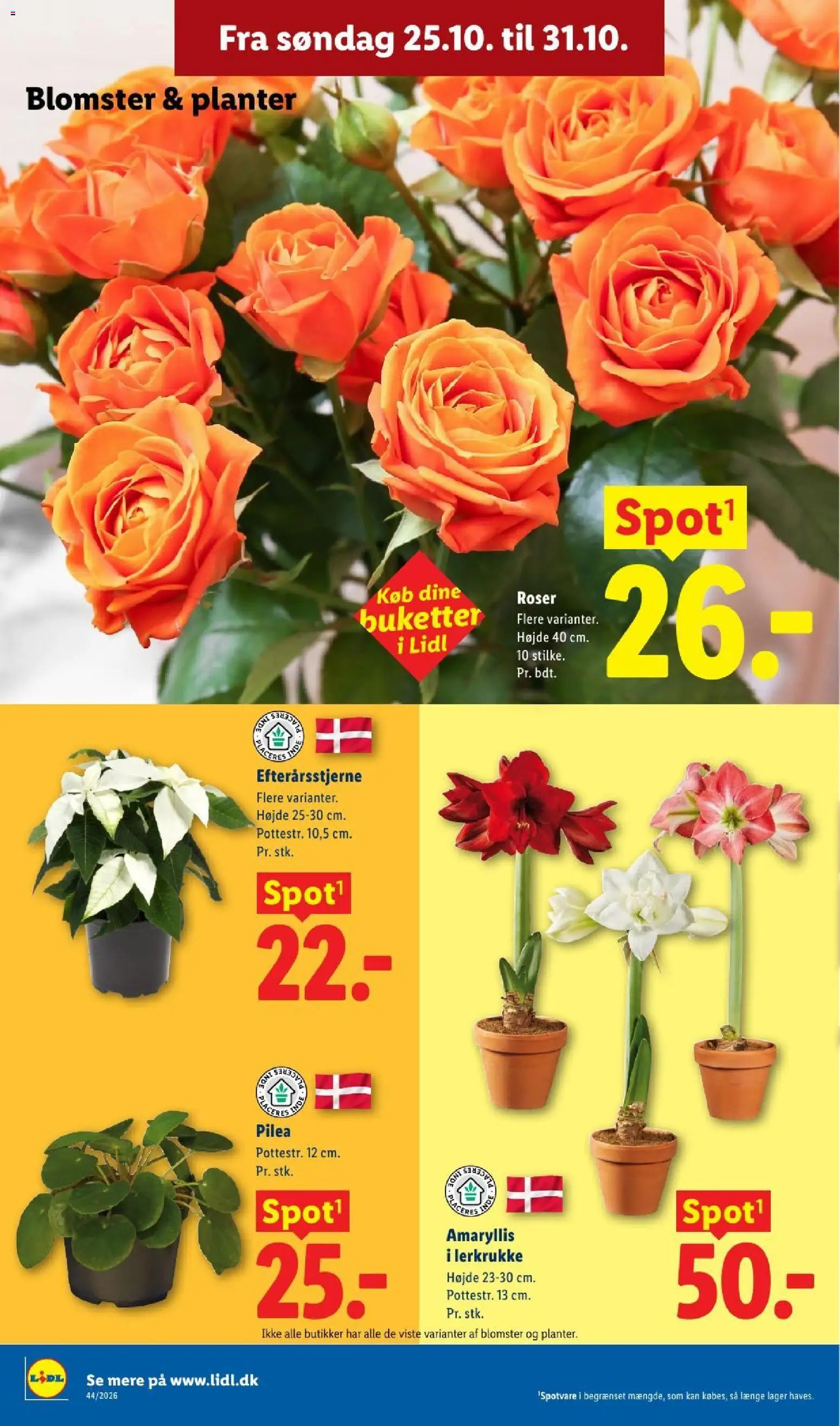 Lidl tilbudsavis – gyldig fra 25/10/2026 | Side: 31 | Produkter: Søm