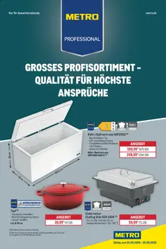 Metro Professional Non-Food Flyer ab 01.09.2026 gültig