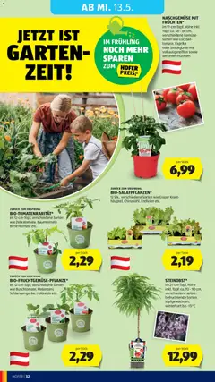 Hofer Flugblatt ab 06.05.2026 gültig | Seite: 38 | Produkte: Gemüse, Kraut