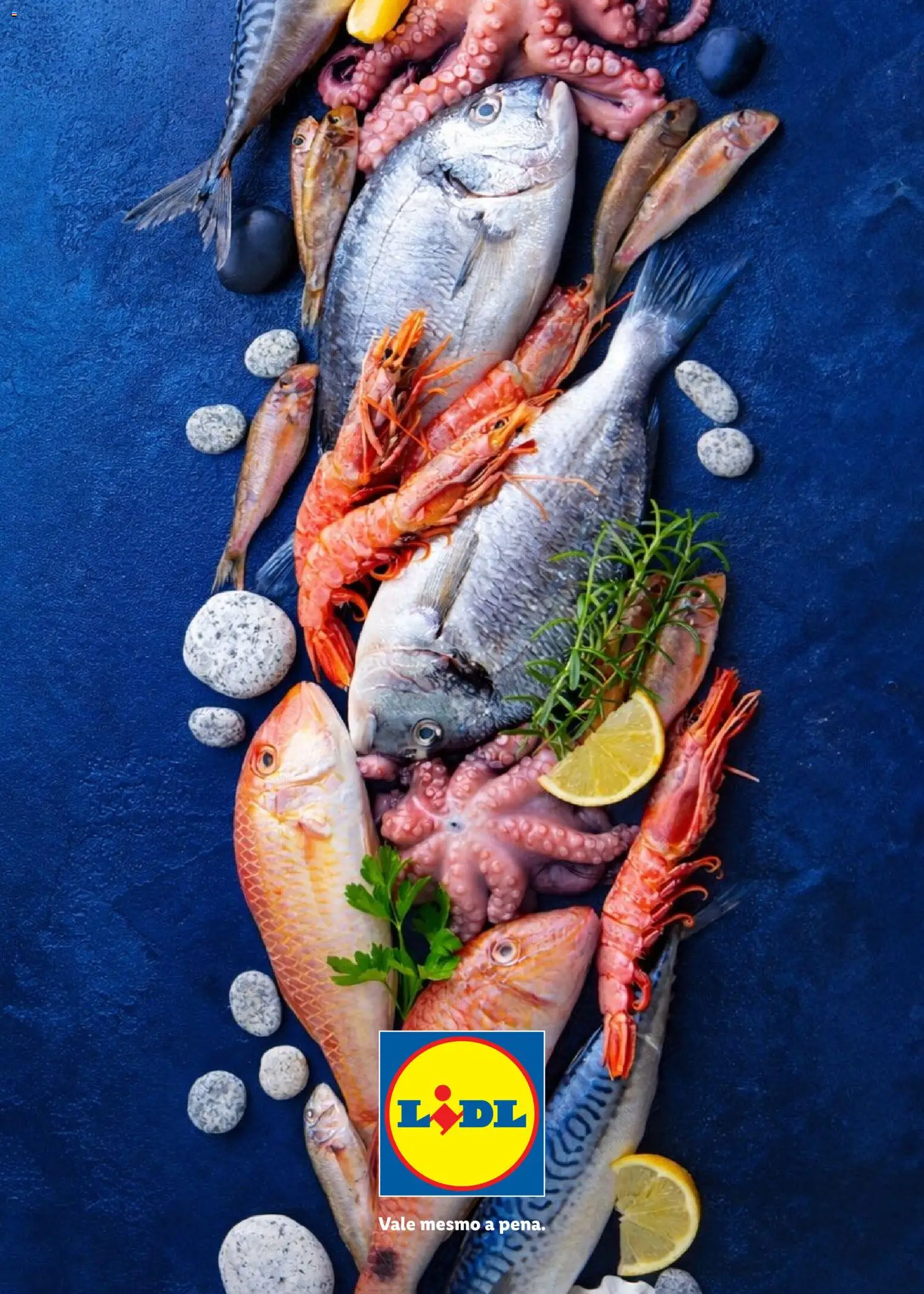 Lidl Feira do Mar │ válido de 07.05.2026 | Página: 24