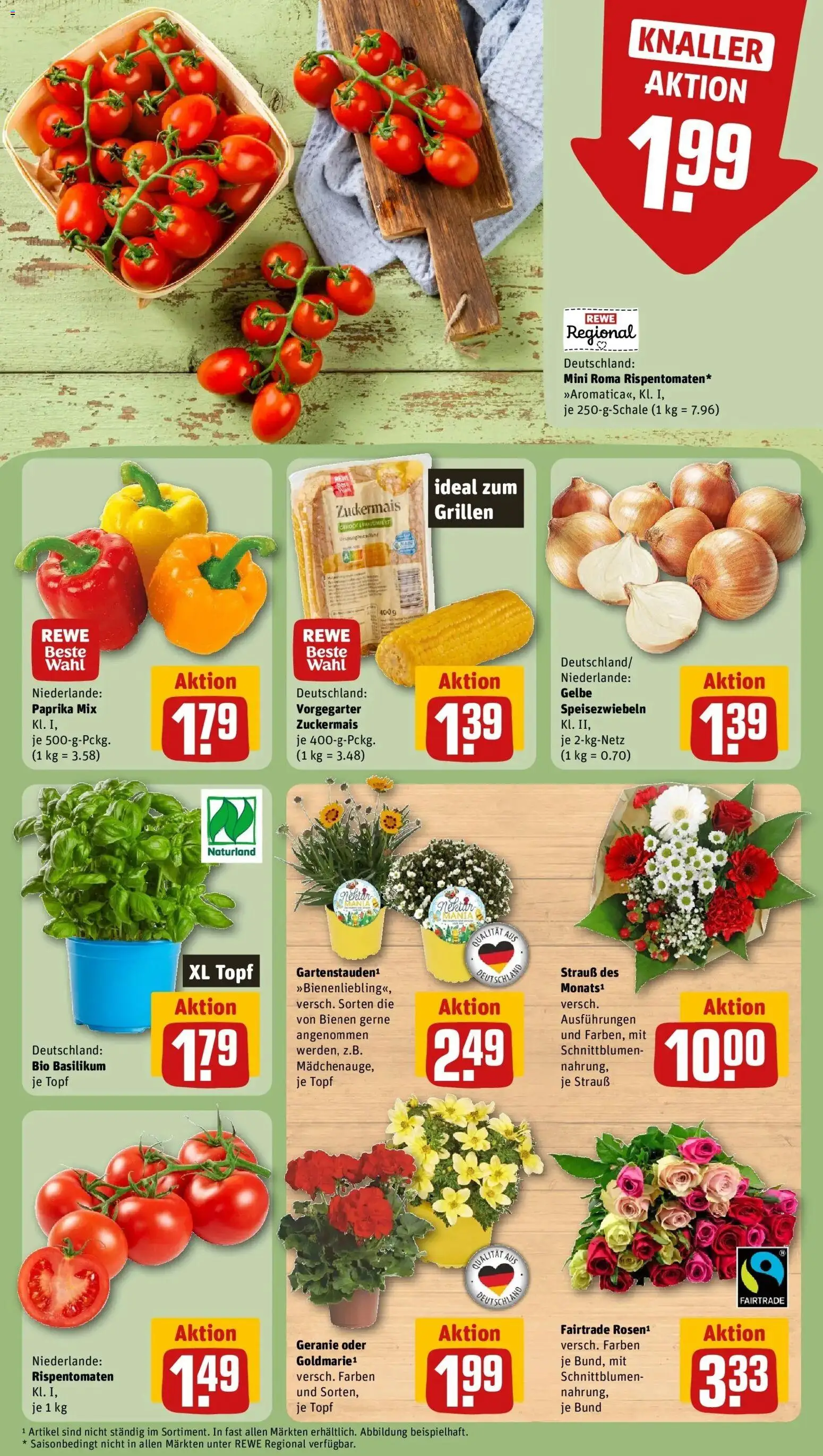 Rewe Prospekt Berlin / Prenzlauer Berg – gültig ab 17.05.2026 | Seite: 11 | Produkte: Paprika