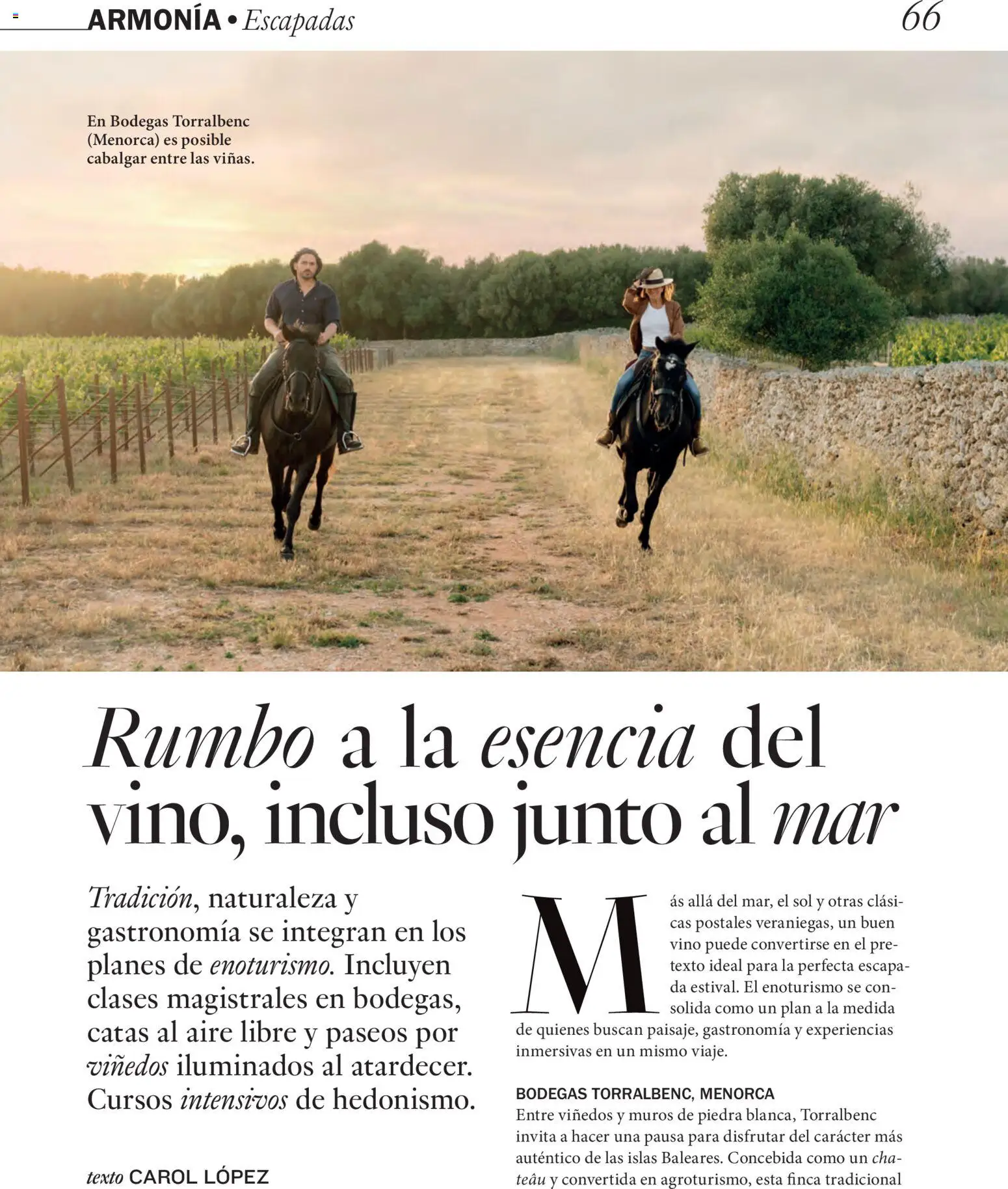 El Corte Inglés ofertas │ válido desde el 22/06/2026 | Página: 66 | Productos: Vino