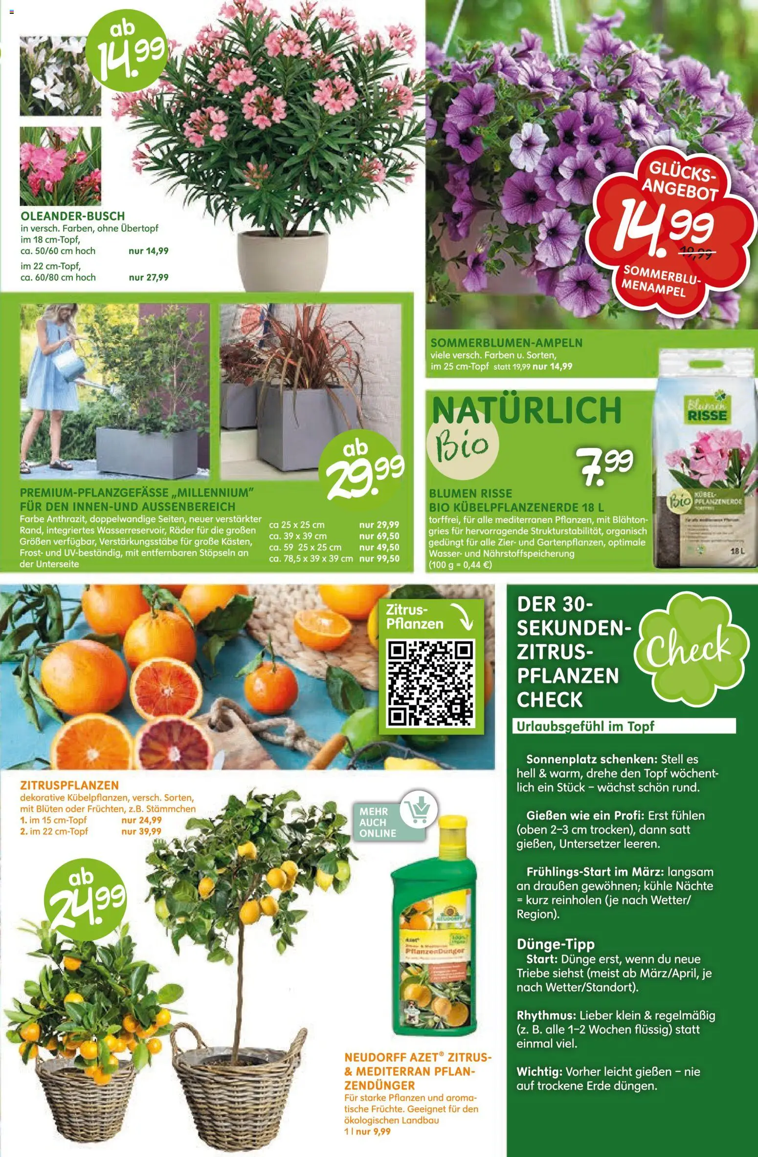 Blumen Risse Prospekt – gültig ab 28.05.2026 | Seite: 7 | Produkte: Blumen, Wasser