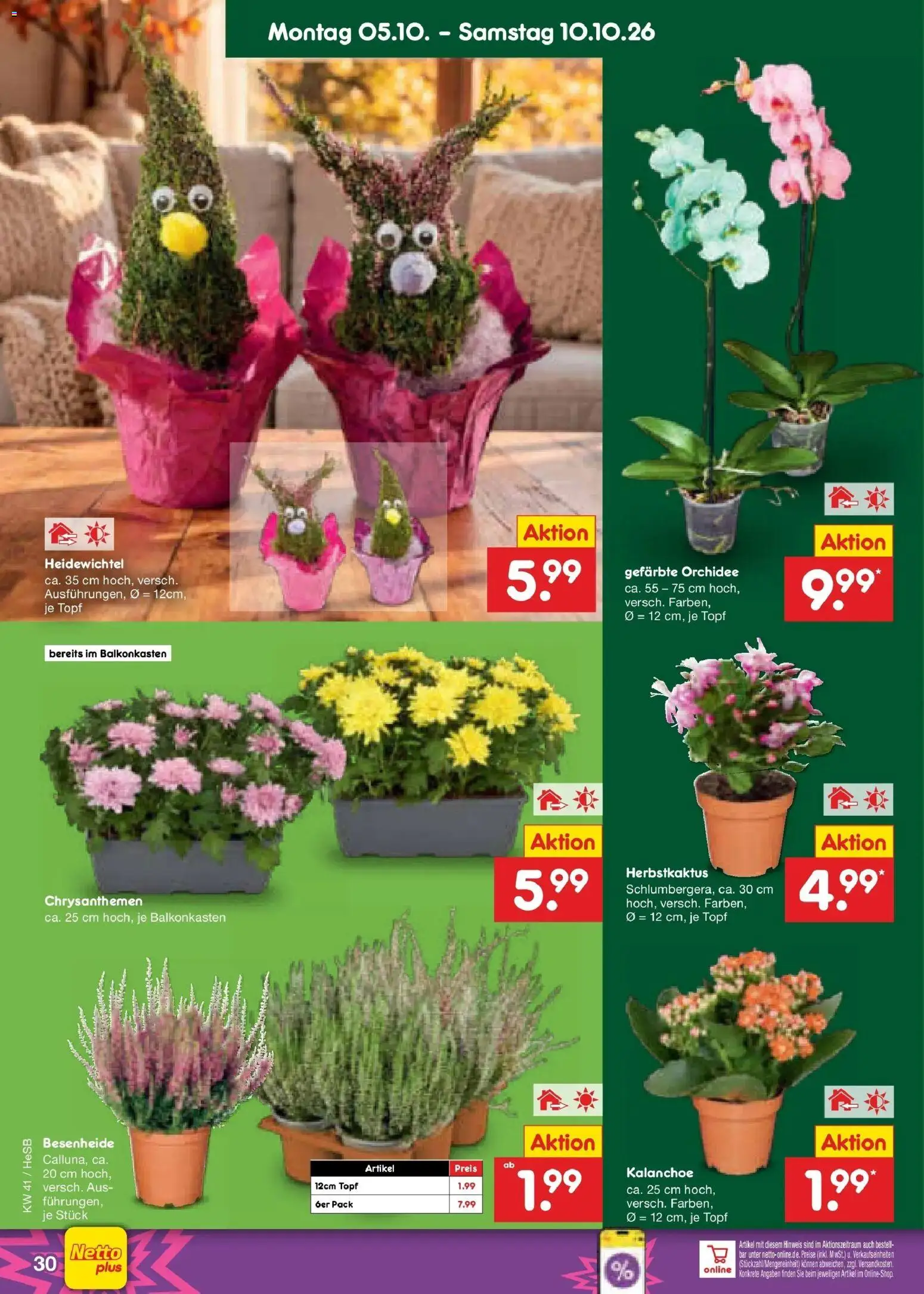 Netto Marken-Discount Prospekt Hamburg (ab 05.10.2026) » Angebote | Seite: 38 | Produkte: Orchidee