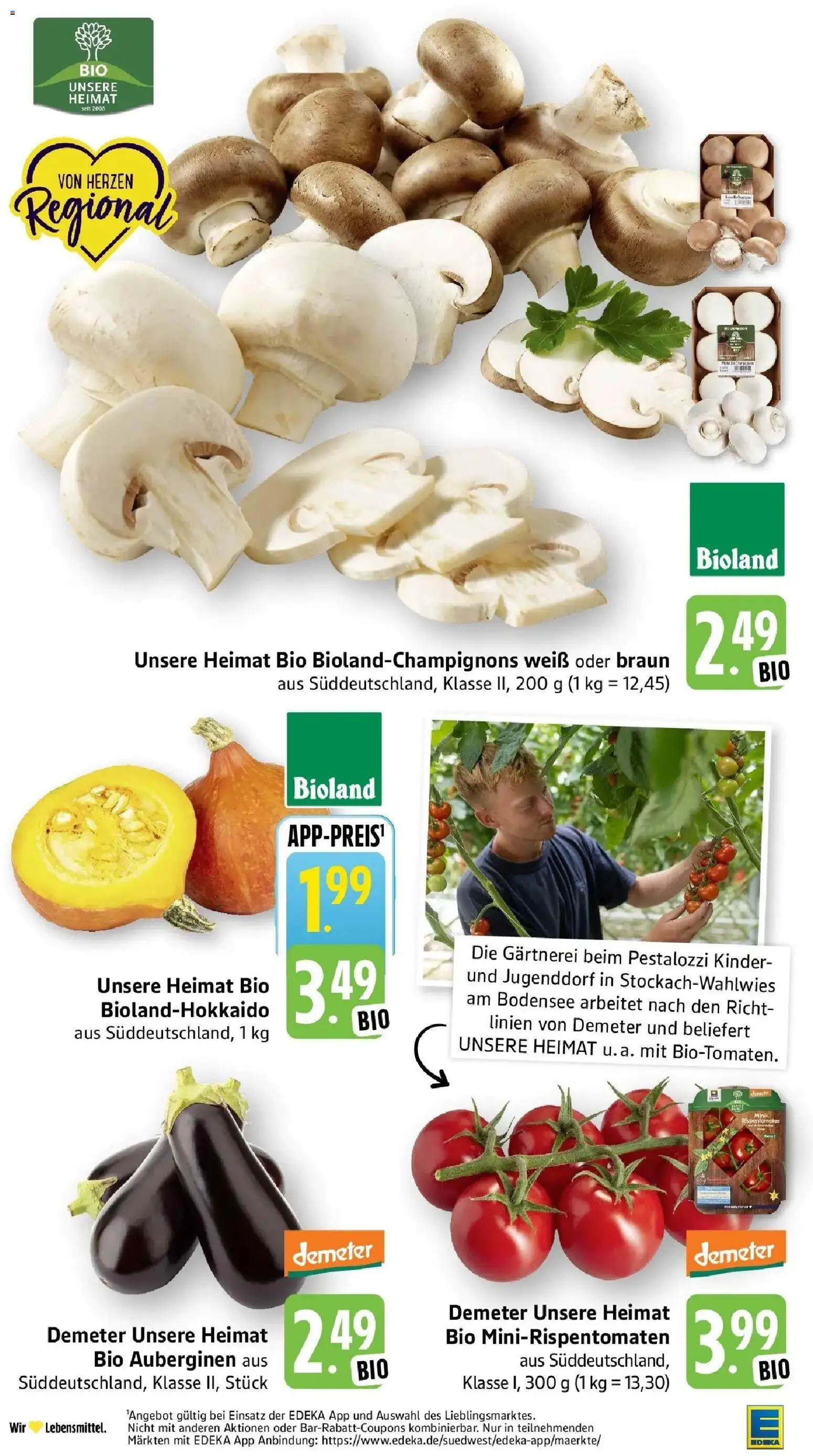 Edeka Prospekt Eppstein (ab 31.08.2026) » Angebote Online | Seite: 11