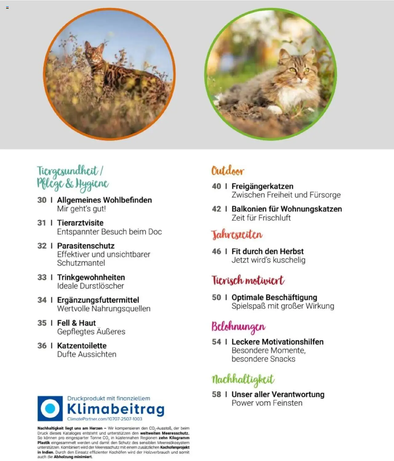 zookauf Themenkatalog Katze – gültig ab 01.10.2025 | Seite: 3 | Produkte: Durstloscher