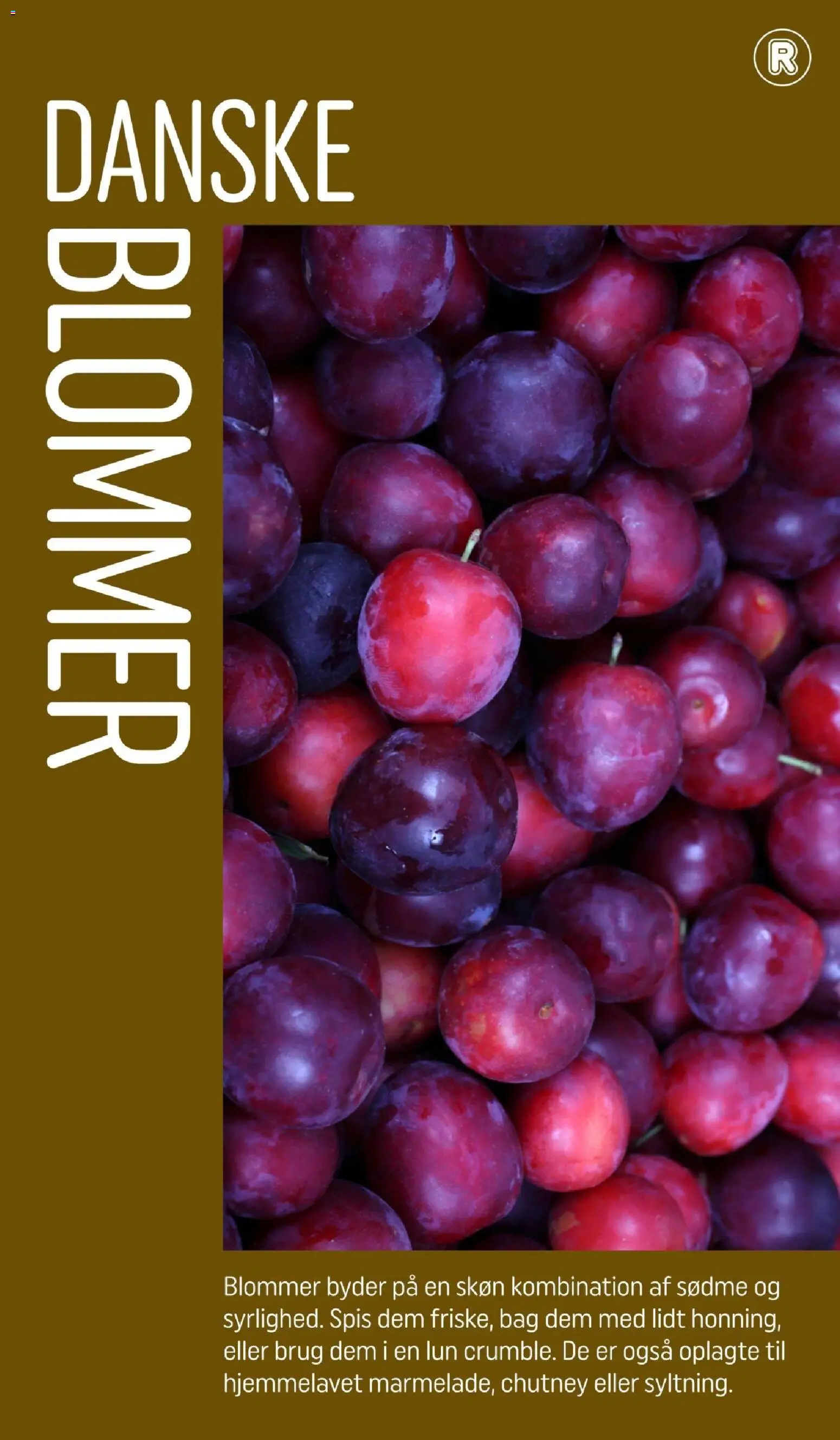 Rema 1000 tilbudsavis – gyldig fra 30/09/2026 | Side: 13 | Produkter: Blommer