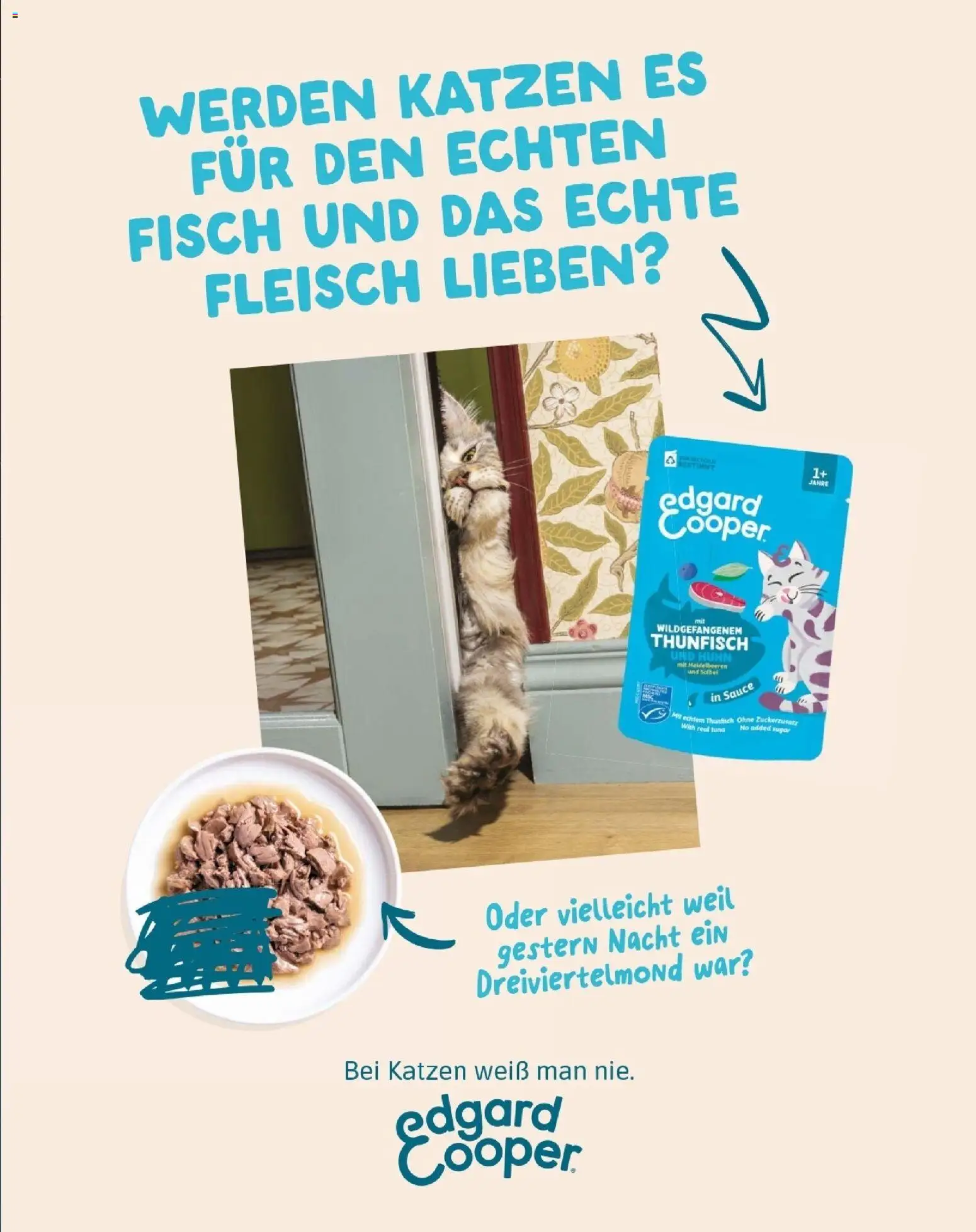 Fressnapf Friends 09,10 /26 gültig ab 01.09.2026 | Seite: 31