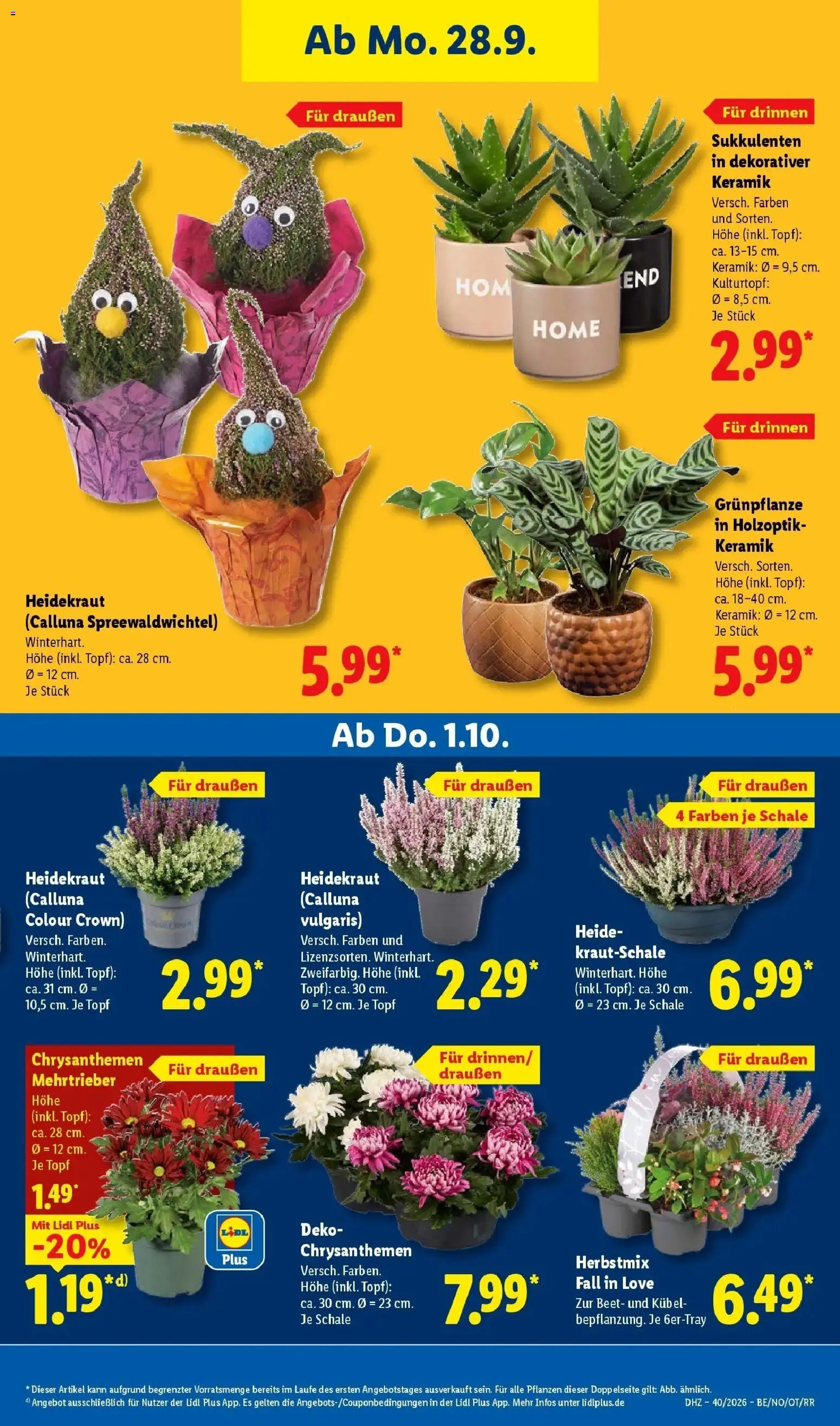 Lidl Prospekt Zülpich (ab 28.09.2026) zum Blättern » Angebote | Seite: 25