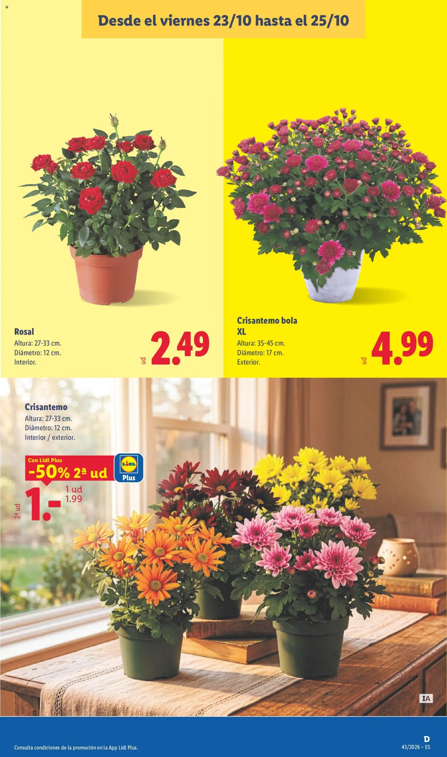 Lidl folleto │ válido desde el 19/10/2026 | Página: 53