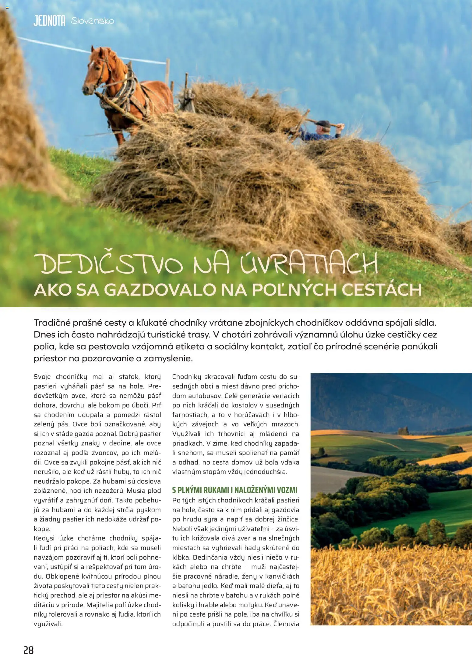 Nové COOP Jednota akcie – leták je platný od 01.06.2026 | Strana: 28
