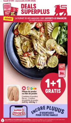 Delhaize folder semaine 39 - Voorbeeld van een folder van Delhaize, geldig van 17/09/2026