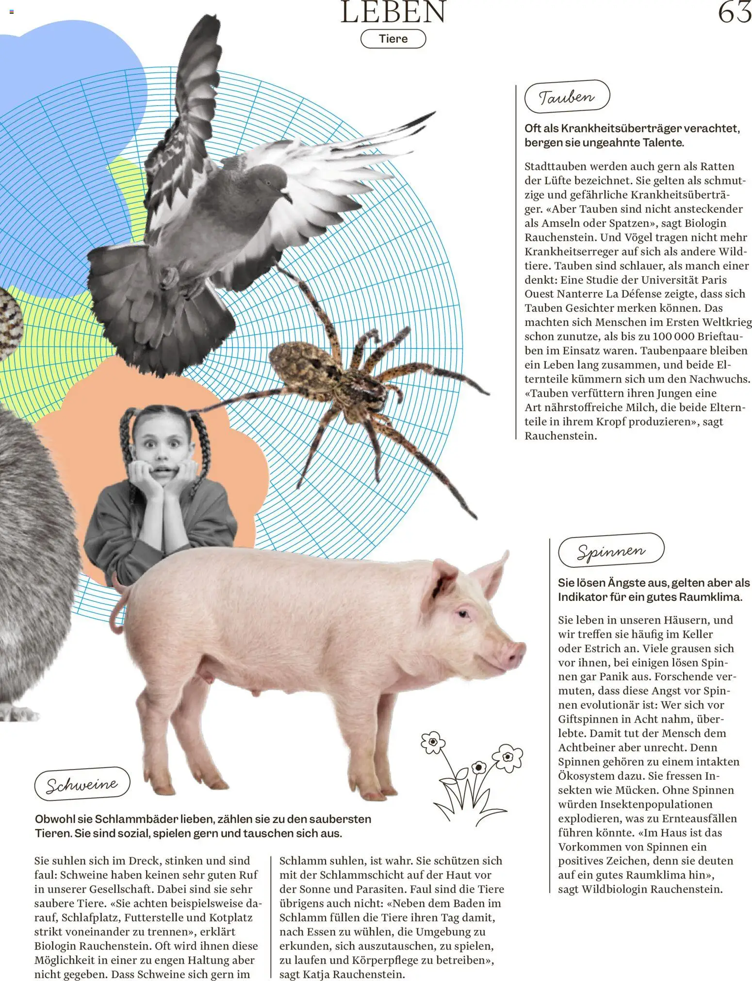 Migros aktionen Magazin – gültig ab 09.09.2026 | Seite: 63