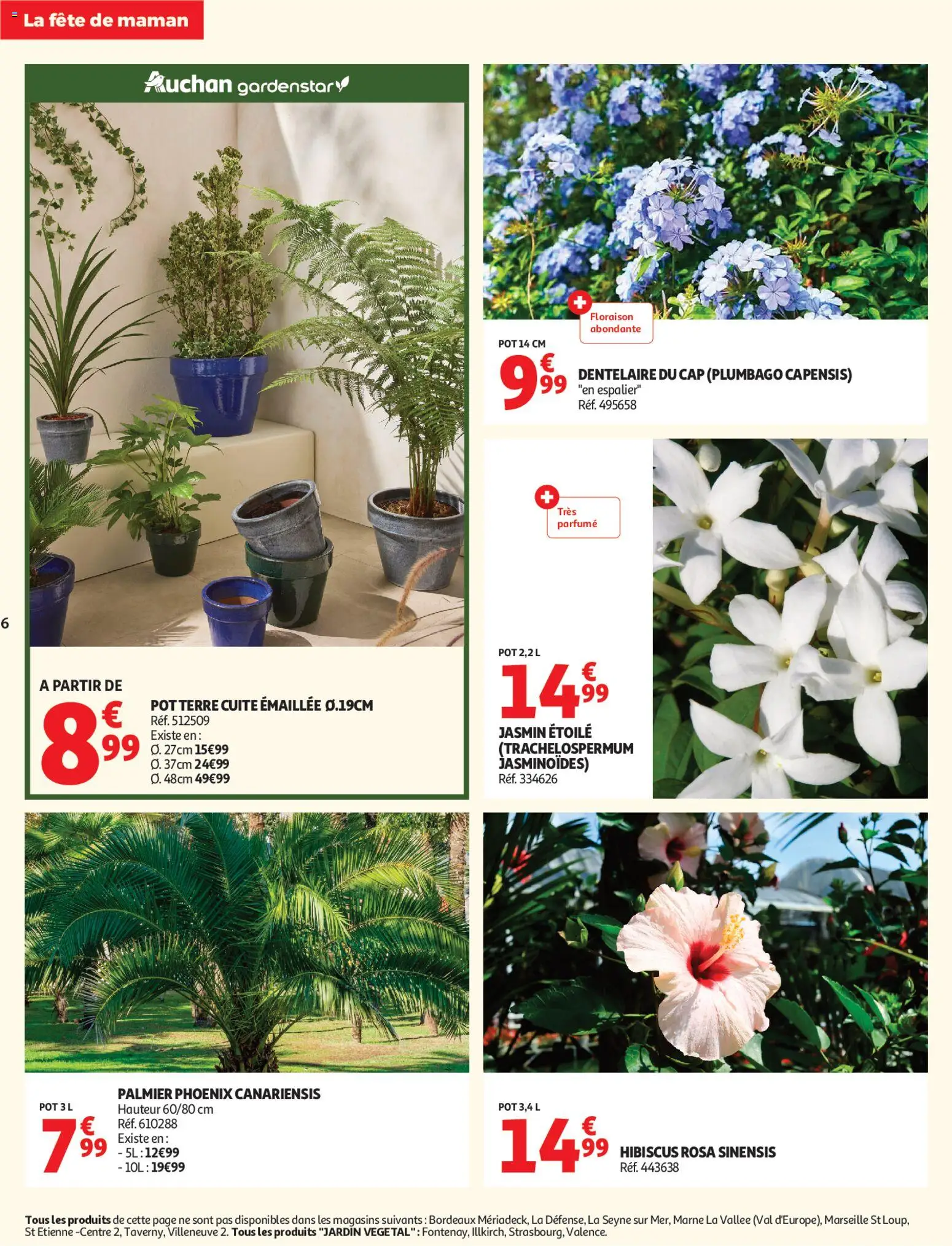 {H1} | Page: 6 | Produits: Palmier