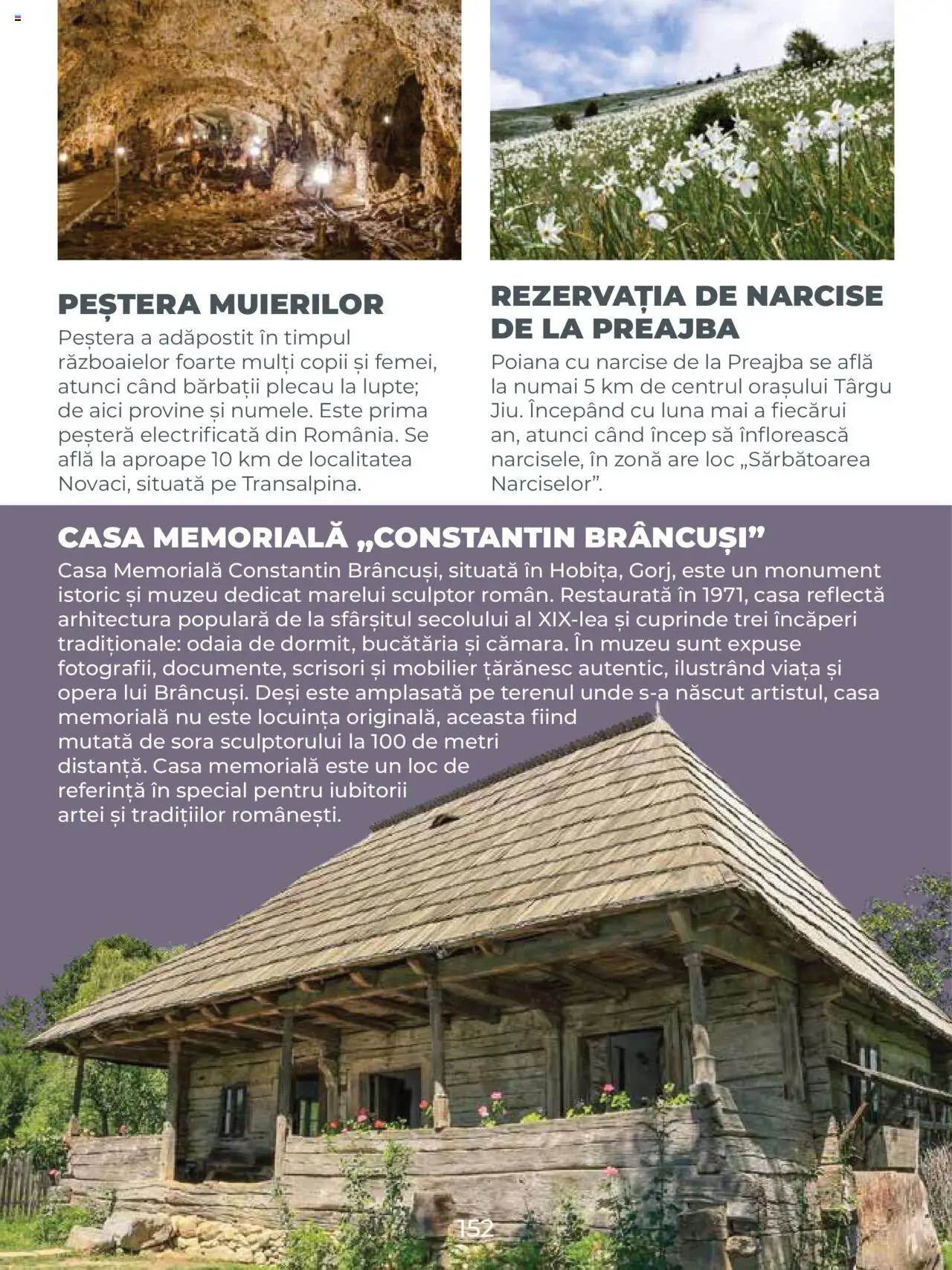 Noul catalog Metro – valabil de la 01.08.2025 | Pagină: 152