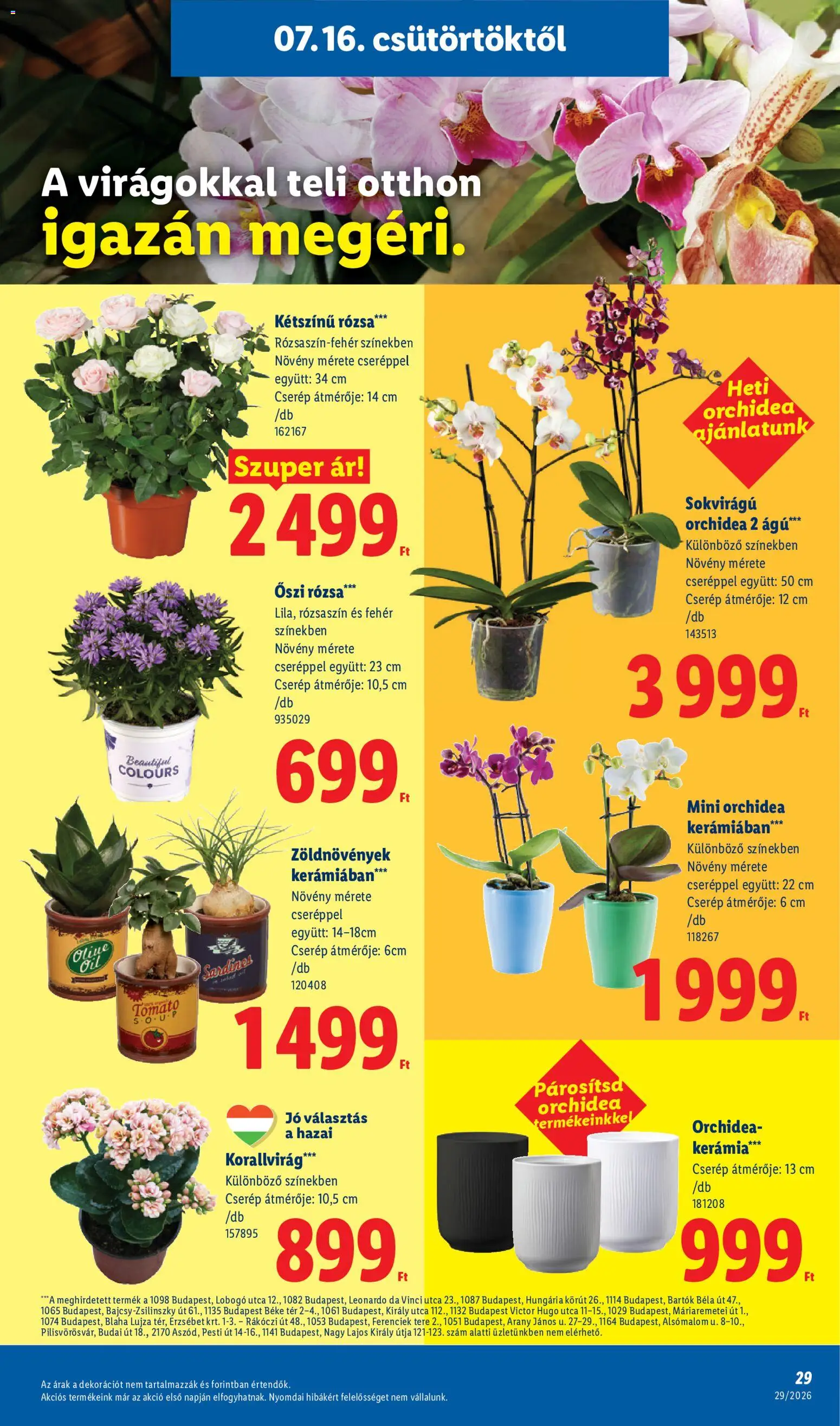 Lidl akciós ujság - amely érvényes a következő dátumtól: 2026.07.16. | Oldal: 29 | Termékek: Orchidea, Rosé