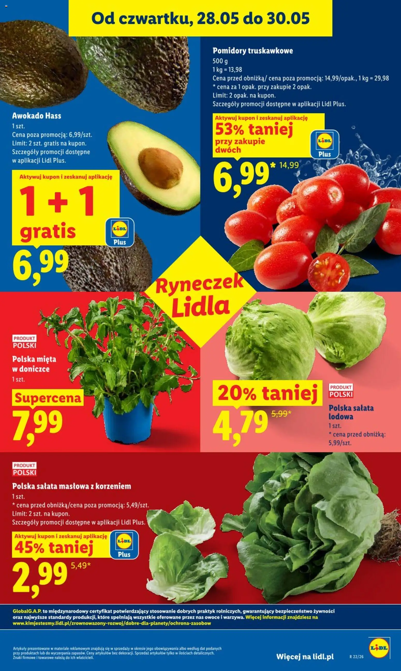 Lidl gazetka od 28.05.2026 | Strona: 37 | Produkty: Mięta, Mięta w doniczce, Pomidory, Owoce