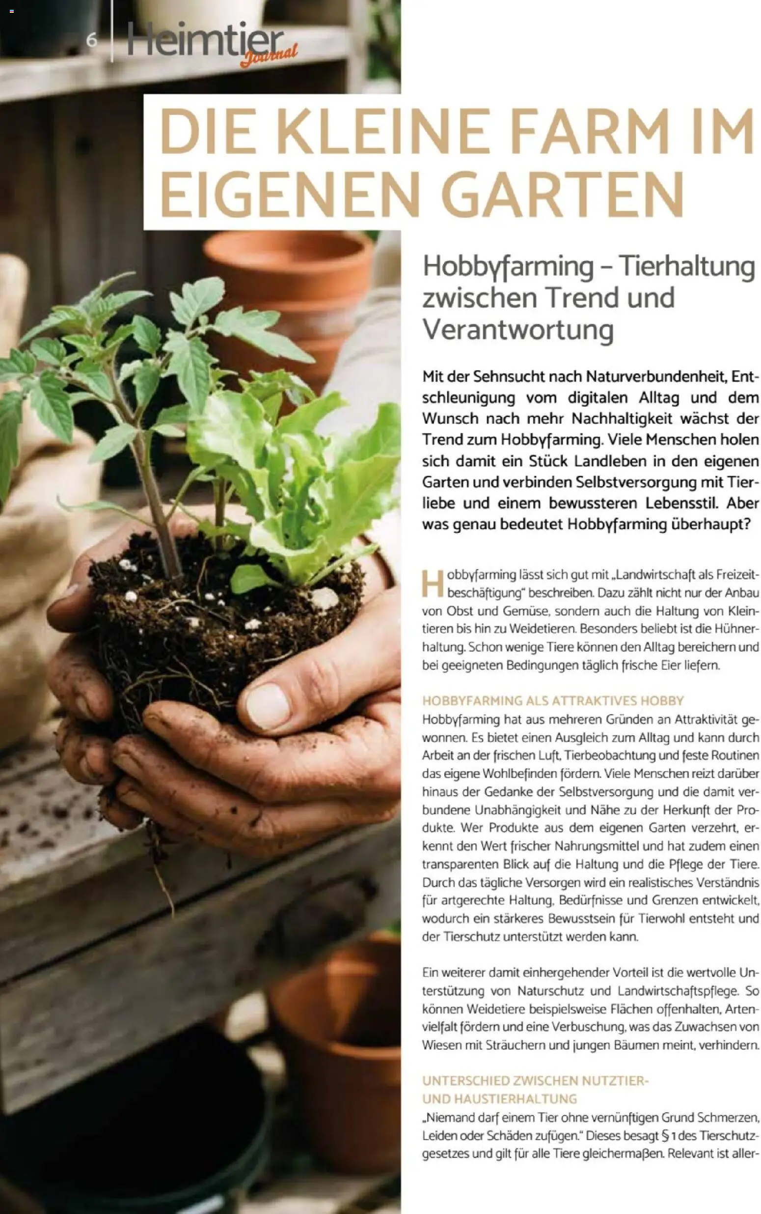 zookauf Heimtier Journal – gültig ab 01.06.2026 | Seite: 6 | Produkte: Eier, Obst