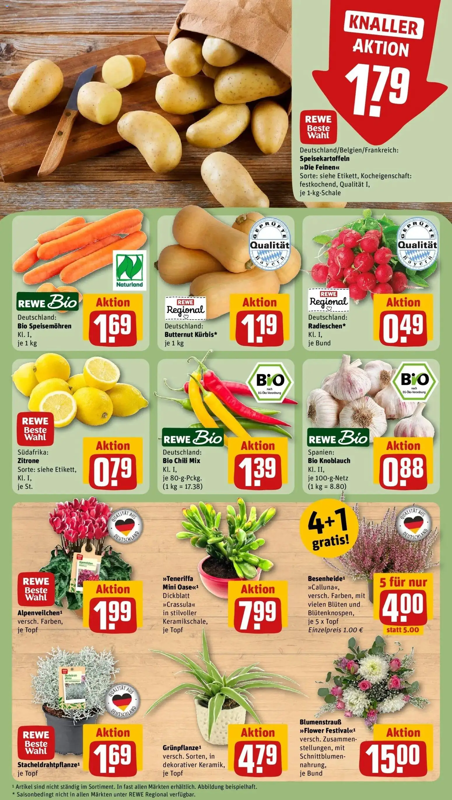 REWE Prospekt ab 05.10.2026 zum Blättern » Angebote | Seite: 9 | Produkte: Zitrone, Knoblauch, Chili