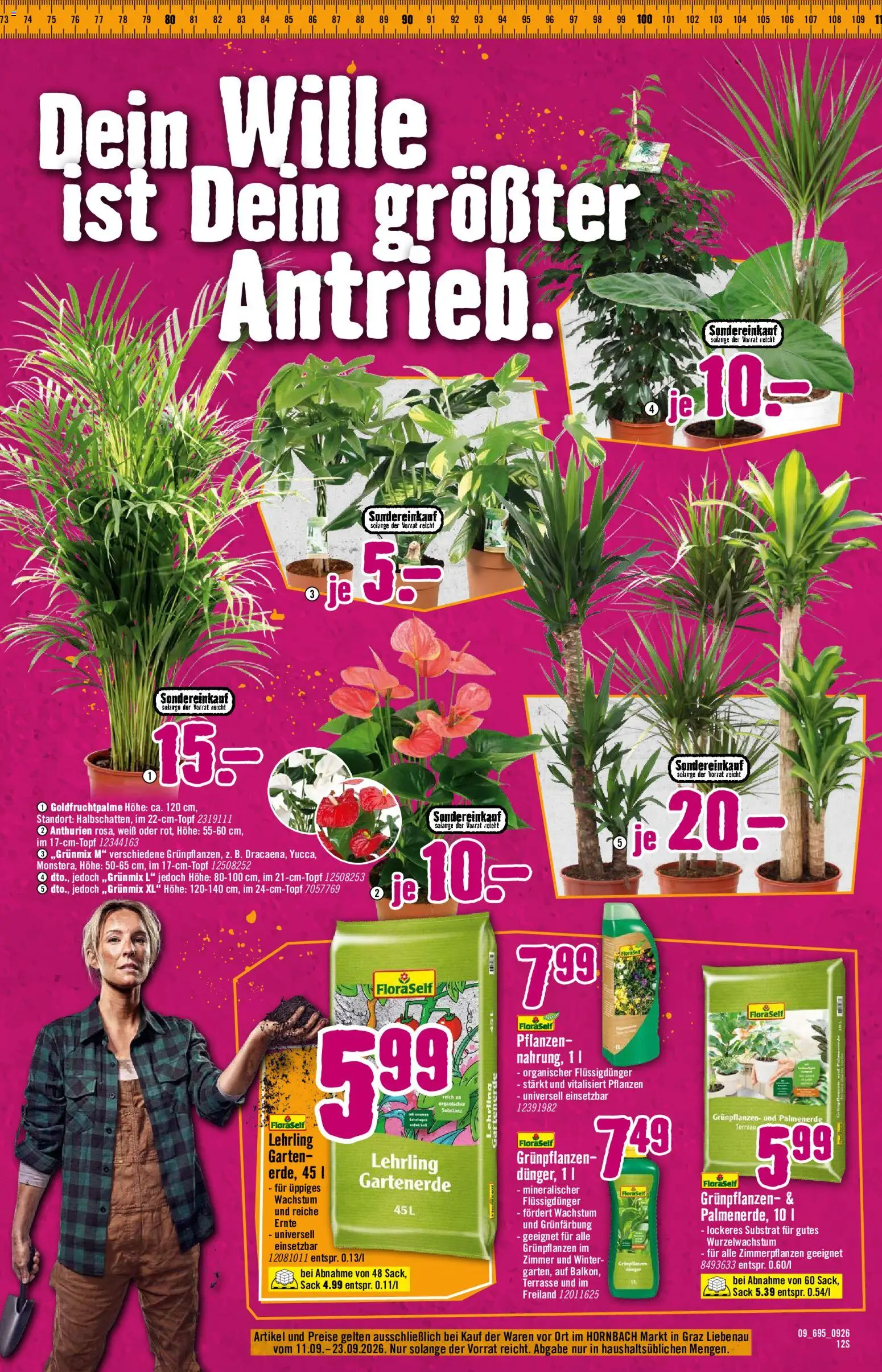 Hornbach Flugblatt gültig ab 11.09.2026 | Seite: 8