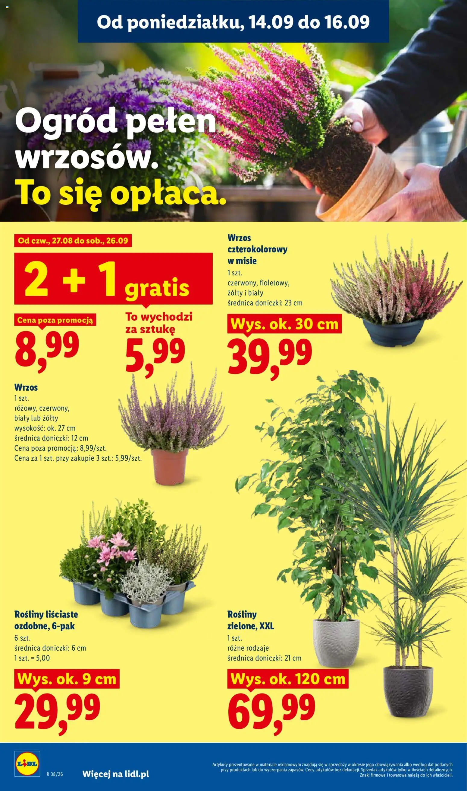 Lidl Polsko leták od 14.09.2026 | Strana: 78