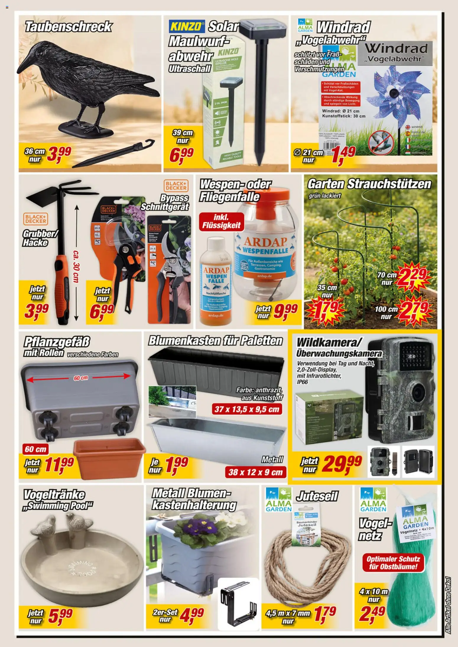 Posten Börse Prospekt – gültig ab 06.06.2026 | Seite: 7 | Produkte: Blumen