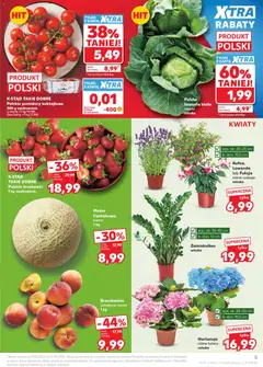 Pogląd oferty "Kaufland gazetka" - ważna od 11.06.2026 | Strona: 5 | Produkty: Kapusta, Pomidory, Brzoskwinie, Truskawki