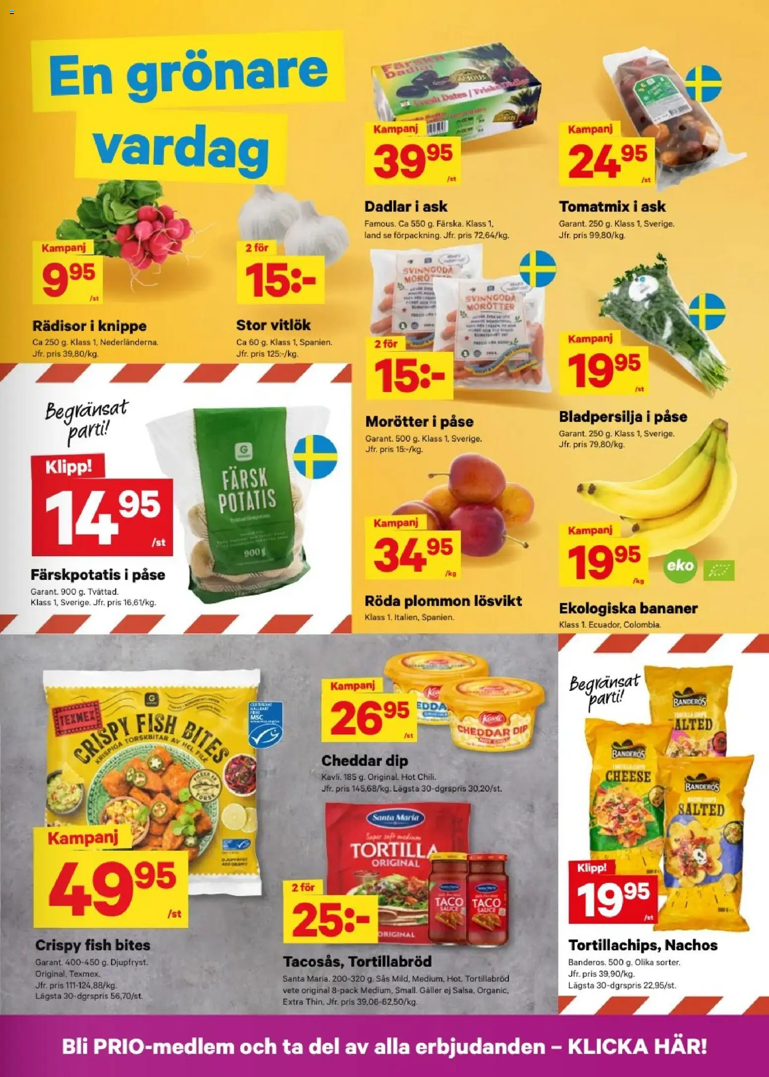 City Gross reklamblad aktuell från 10/08/2026 | Sida: 3 | Produkter: Rädisor, Cheddar, Morötter, Potatis
