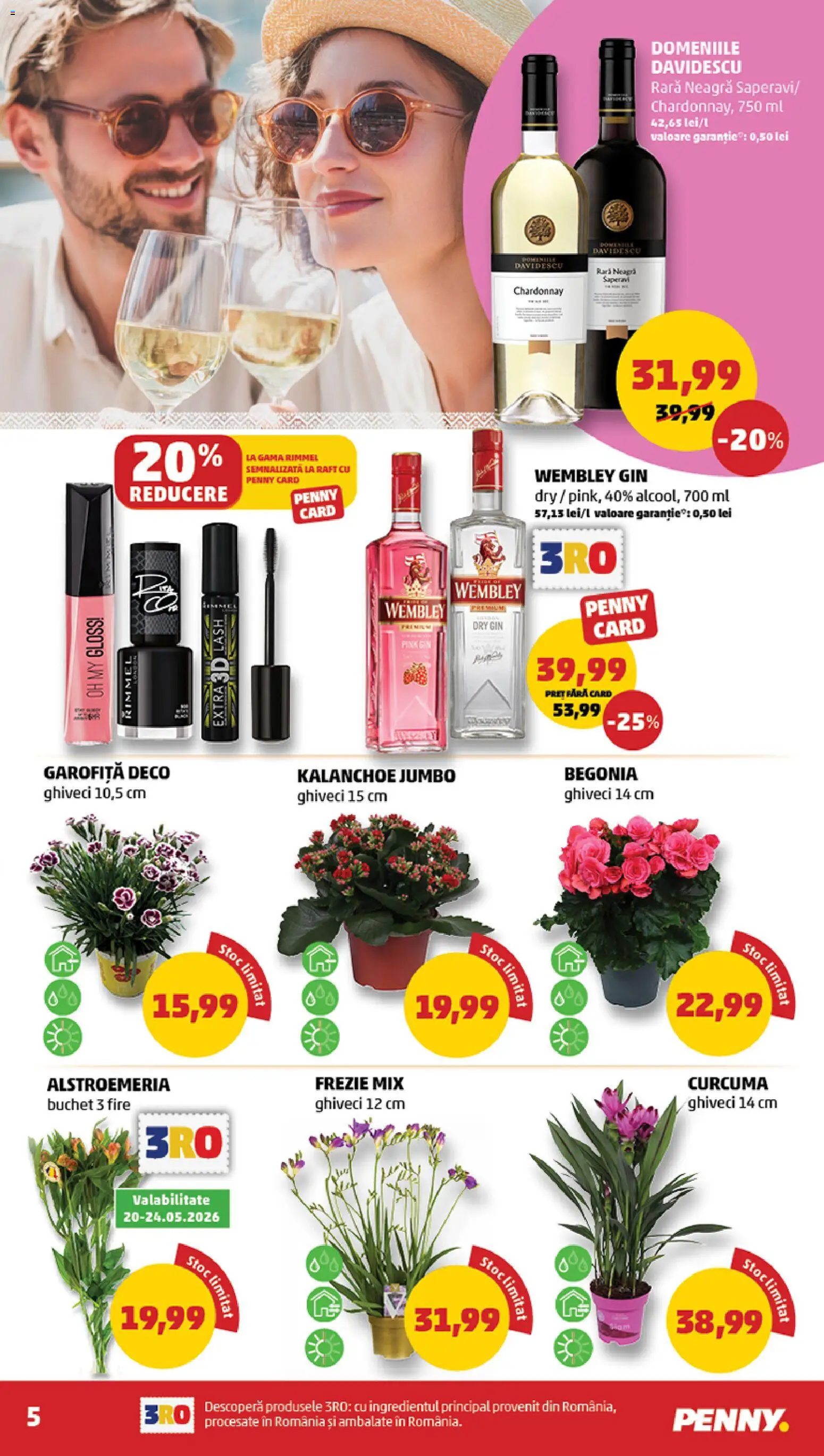 Noul catalog PENNY – valabil de la 20.05.2026 | Pagină: 5 | Produse: Raft, Ghiveci, Gin