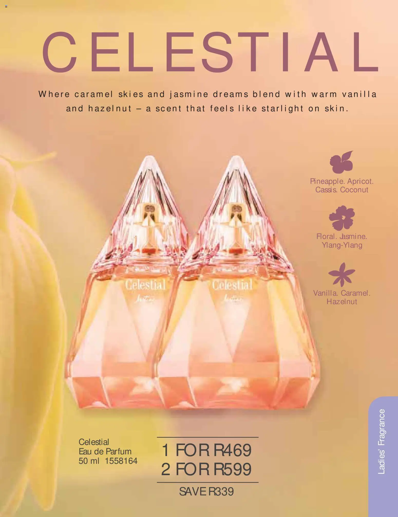 New Justine catalogue – valid from 01.06.2026 | Page: 55