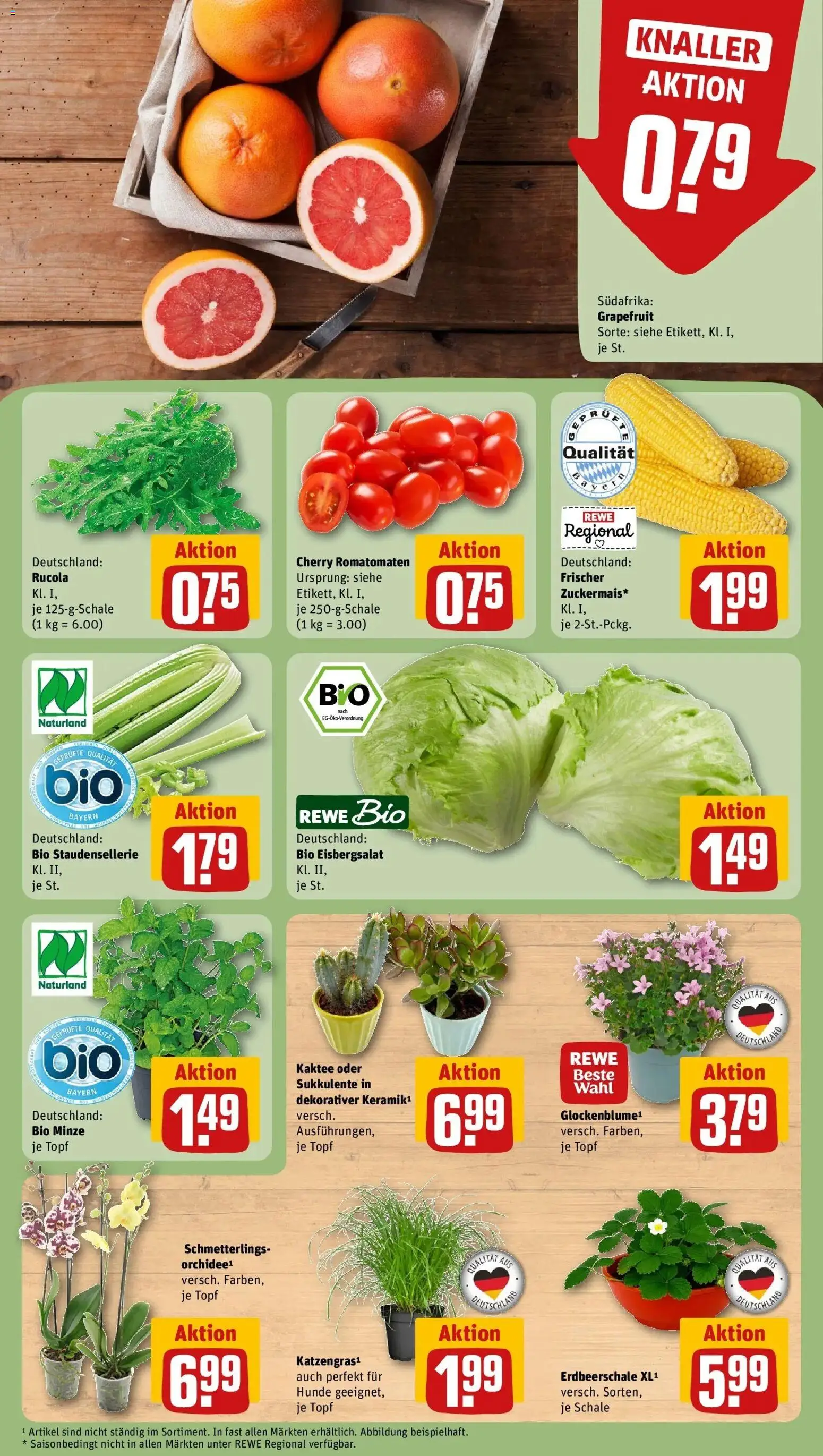 Rewe Prospekt München – gültig ab 27.07.2026 | Seite: 5 | Produkte: Orchidee, Rucola, Eisbergsalat, Grapefruit