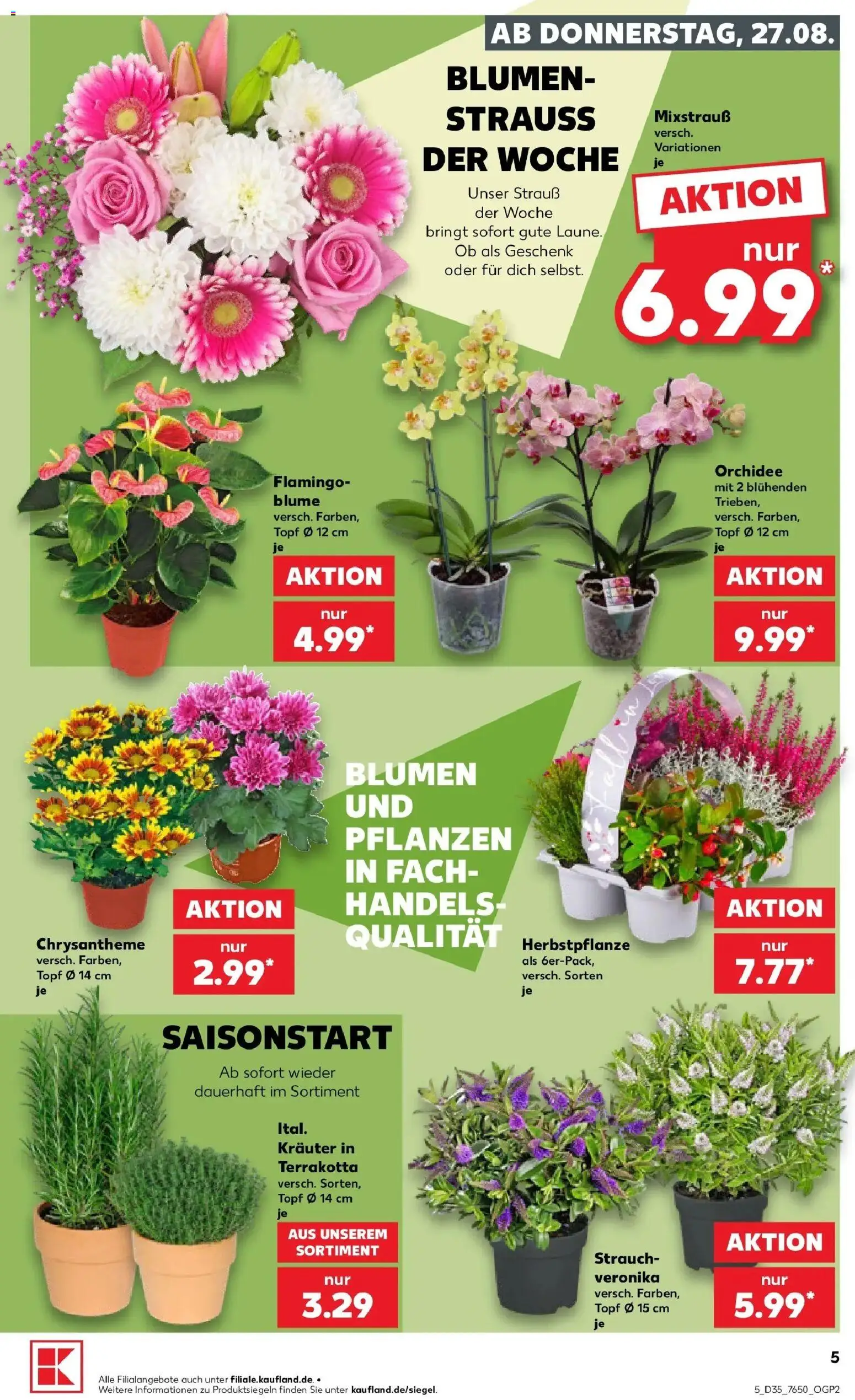 Prospekt Kaufland ab 24.08.2026 » Angebote Online zum Blättern | Seite: 16 | Produkte: Orchidee, Blumen
