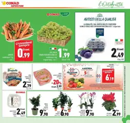Anteprima del volantino CAROTE, confezione 1 kg cat. I valido a partire dal 09/09/2026 | Pagina: 27 | Prodotti: Carote, Cocco, Susine, Vaso