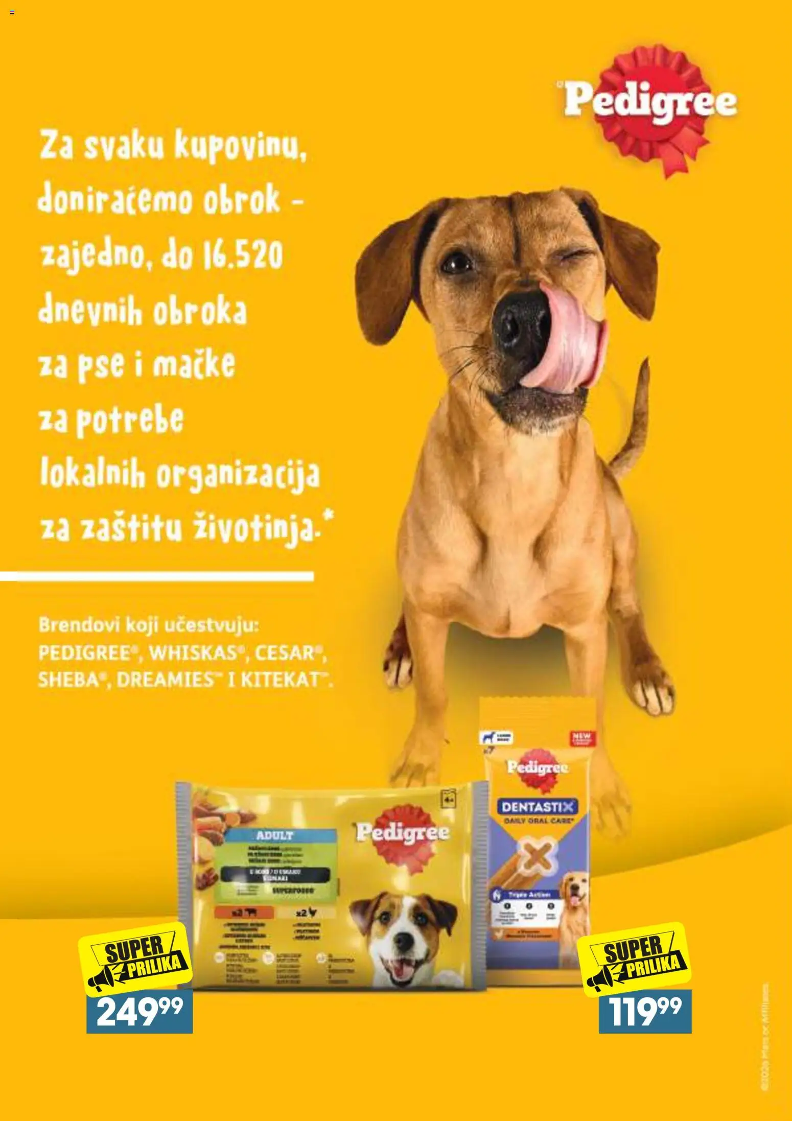 Roda katalog - važi od 28.09.2026 | Strana: 29 | Proizvode: Pedigree