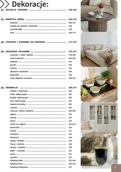 Pogląd oferty "Bodzio Katalog" - ważna od 01.08.2026 | Strona: 3
