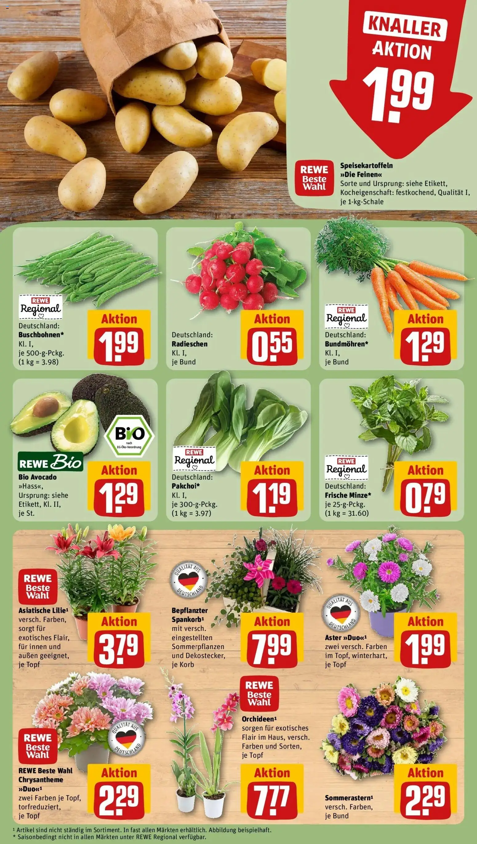 REWE Prospekt ab 03.08.2026 zum Blättern » Angebote | Seite: 7 | Produkte: Korb, Avocado