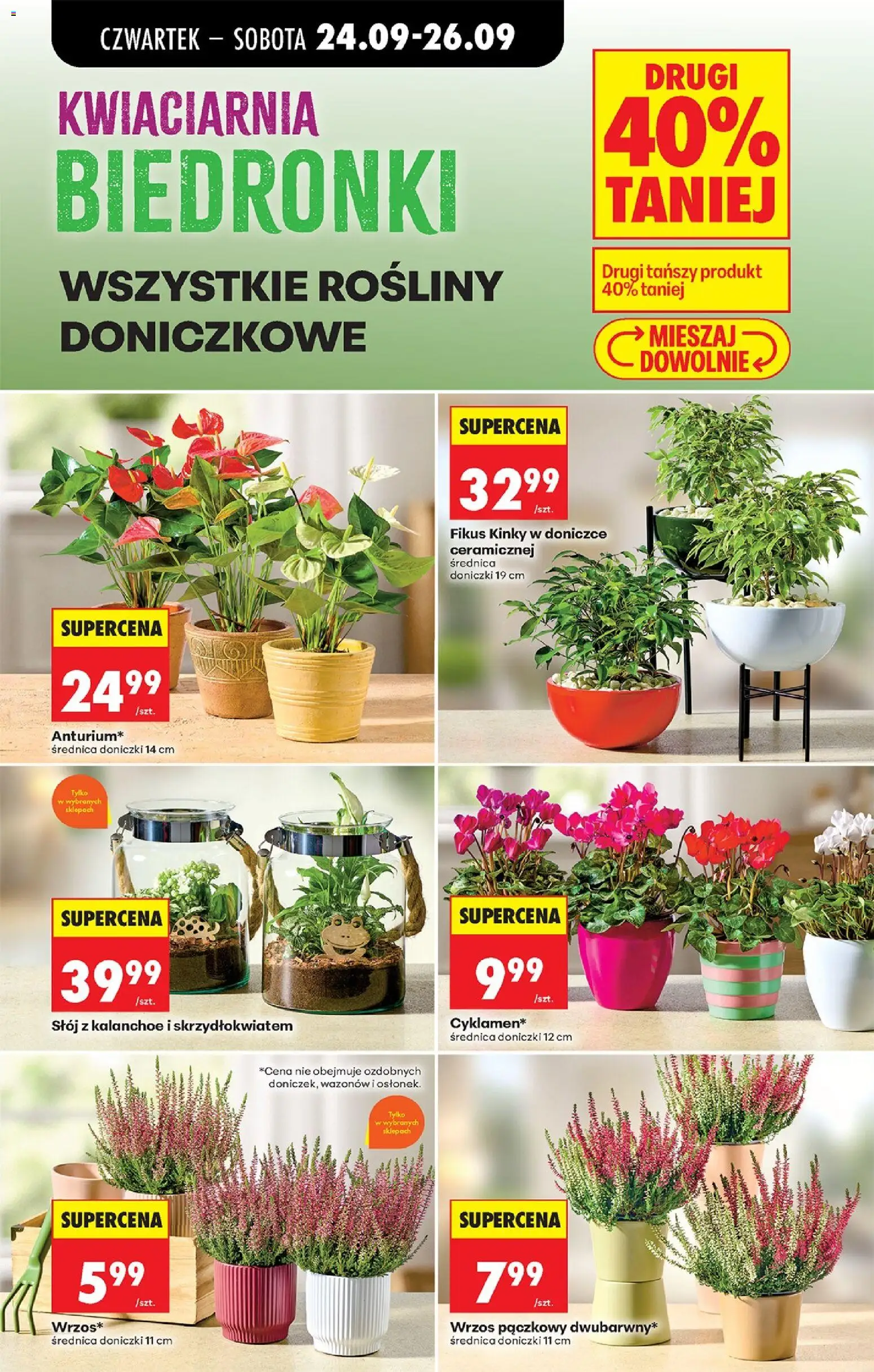 Biedronka gazetka od czwartku od 24.09.2026 | Strona: 89