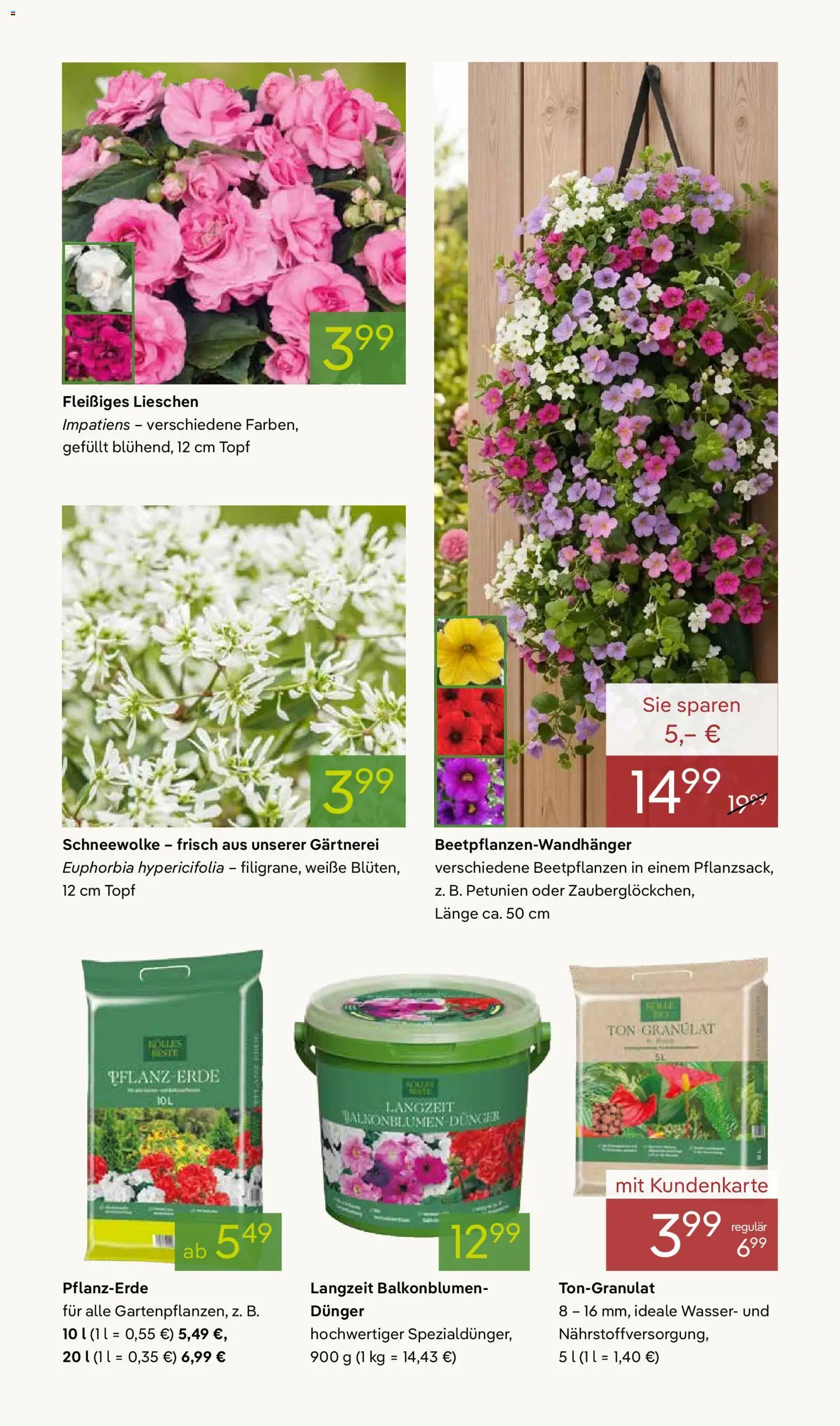 Pflanzen-Kölle Prospekt 	 – gültig ab 04.05.2026 | Seite: 7
