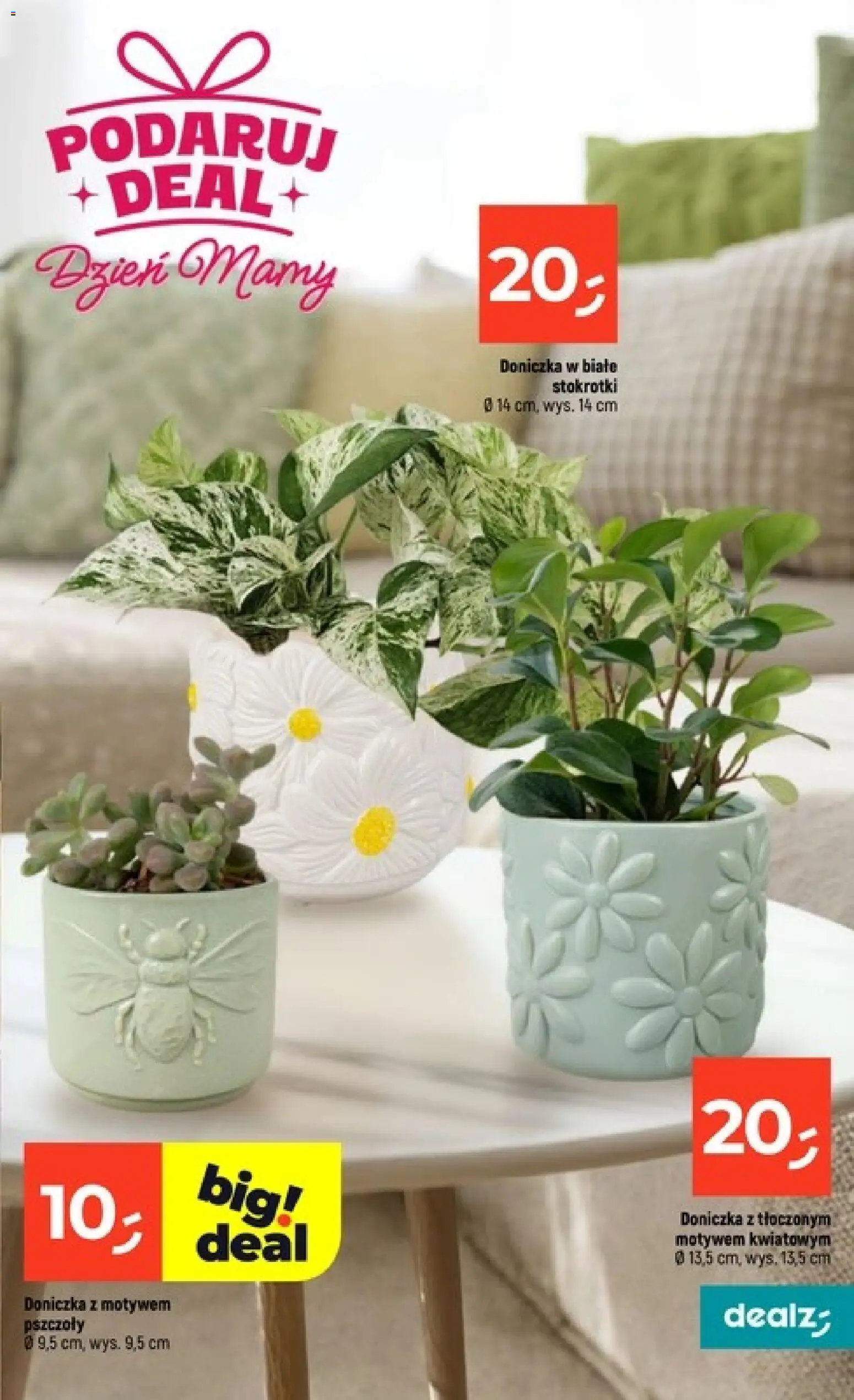 Dealz gazetka - Dzień Mamy od 21.05.2026 | Strona: 17 | Produkty: Doniczka