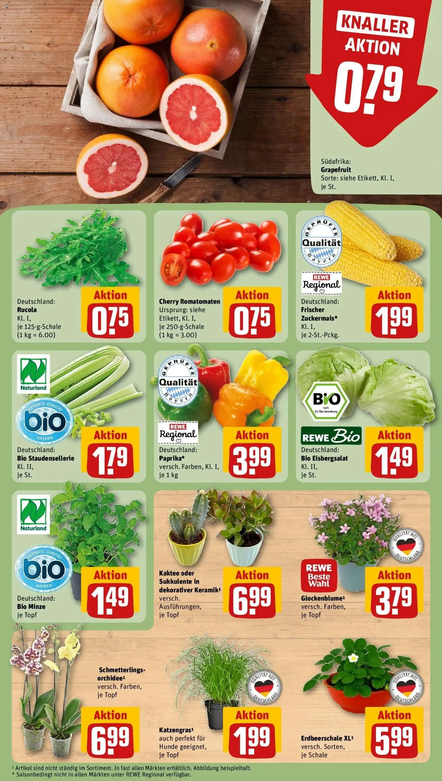 Rewe Prospekt Nürnberg – gültig ab 27.07.2026 | Seite: 5 | Produkte: Rucola, Eisbergsalat, Grapefruit