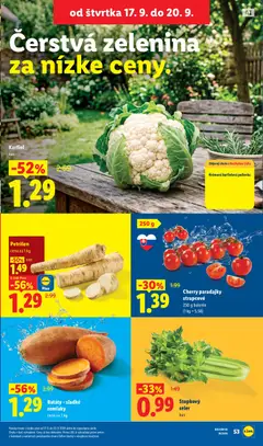 Lidl leták platný od 14.09.2026 | Strana: 65