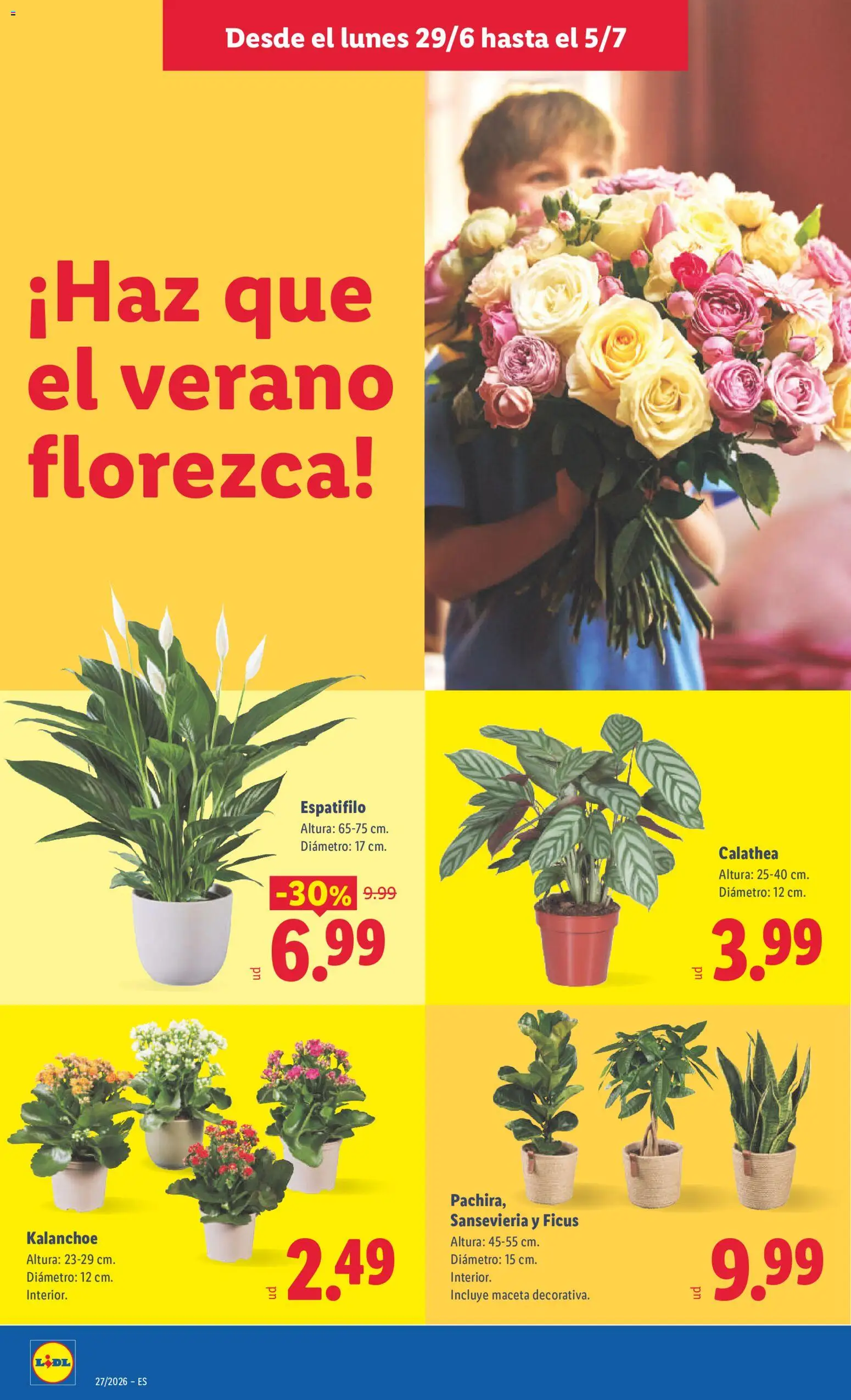 Lidl folleto │ válido desde el 29/06/2026 | Página: 44
