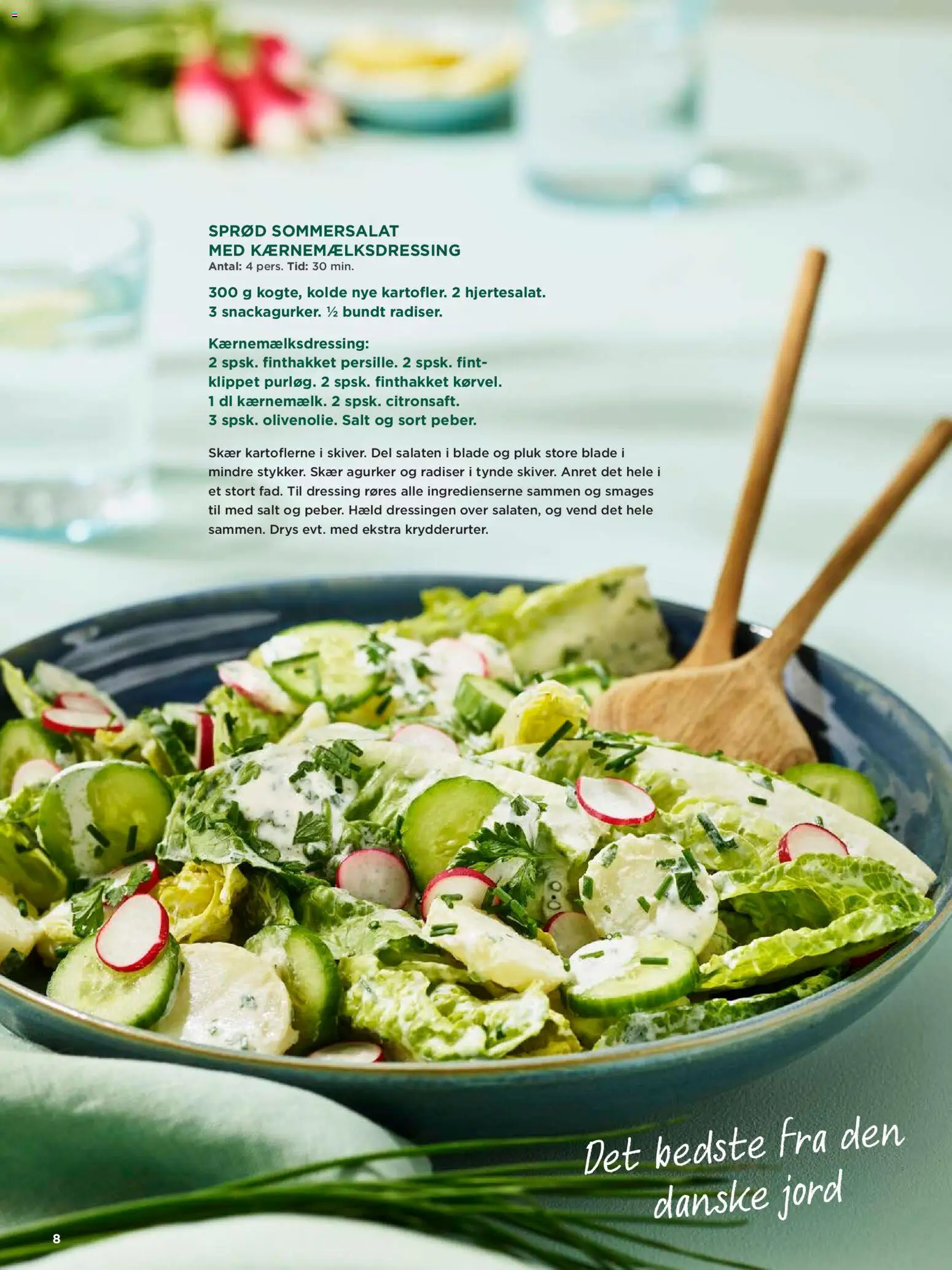 Meny tilbudsavis – gyldig fra 31/07/2026 | Side: 8 | Produkter: Radiser, Agurker, Dressing, Salt