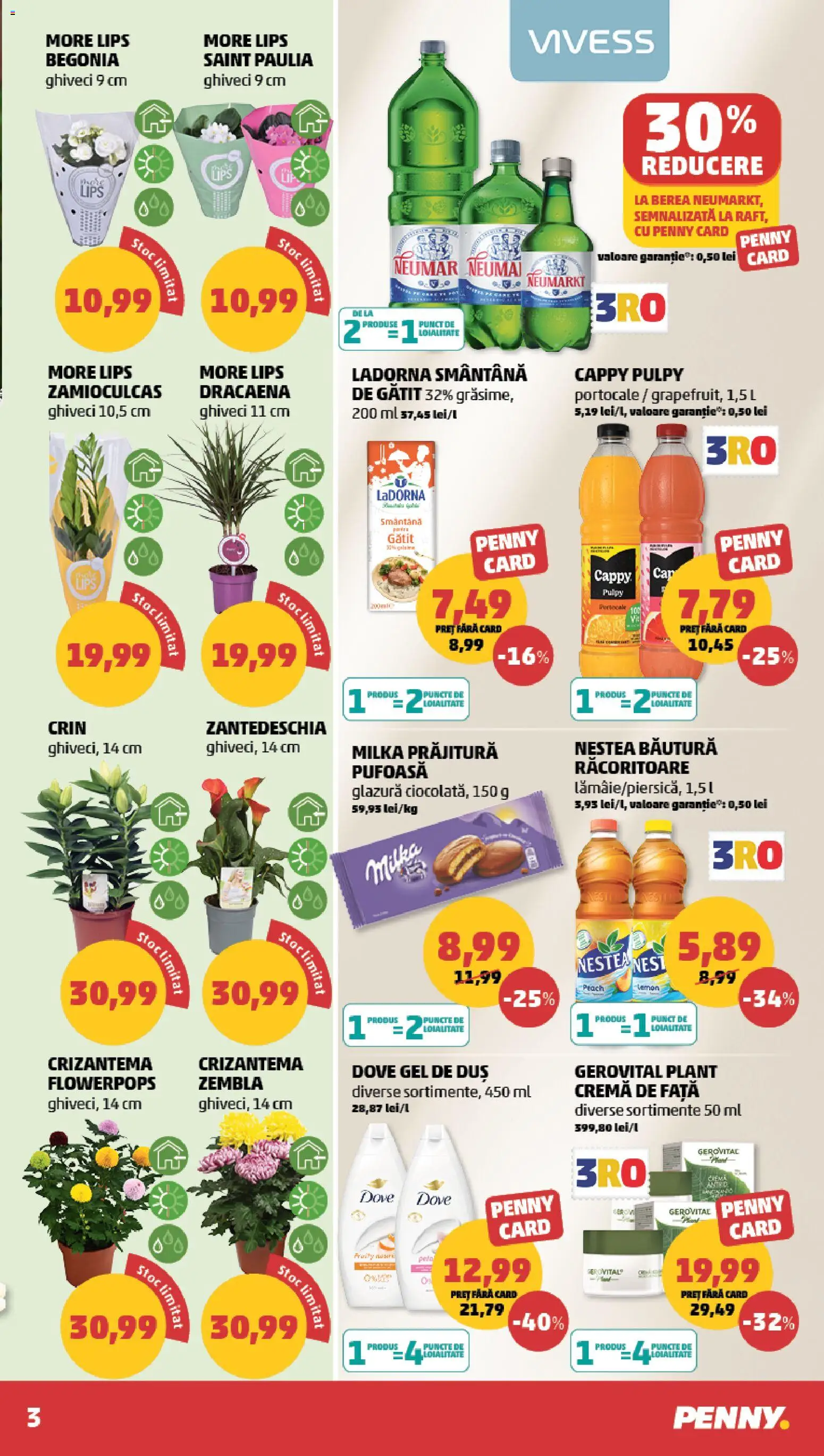 Noul catalog PENNY – valabil de la 29.07.2026 | Pagină: 3 | Produse: Duș, Prăjitură, Gel de duș, Portocale