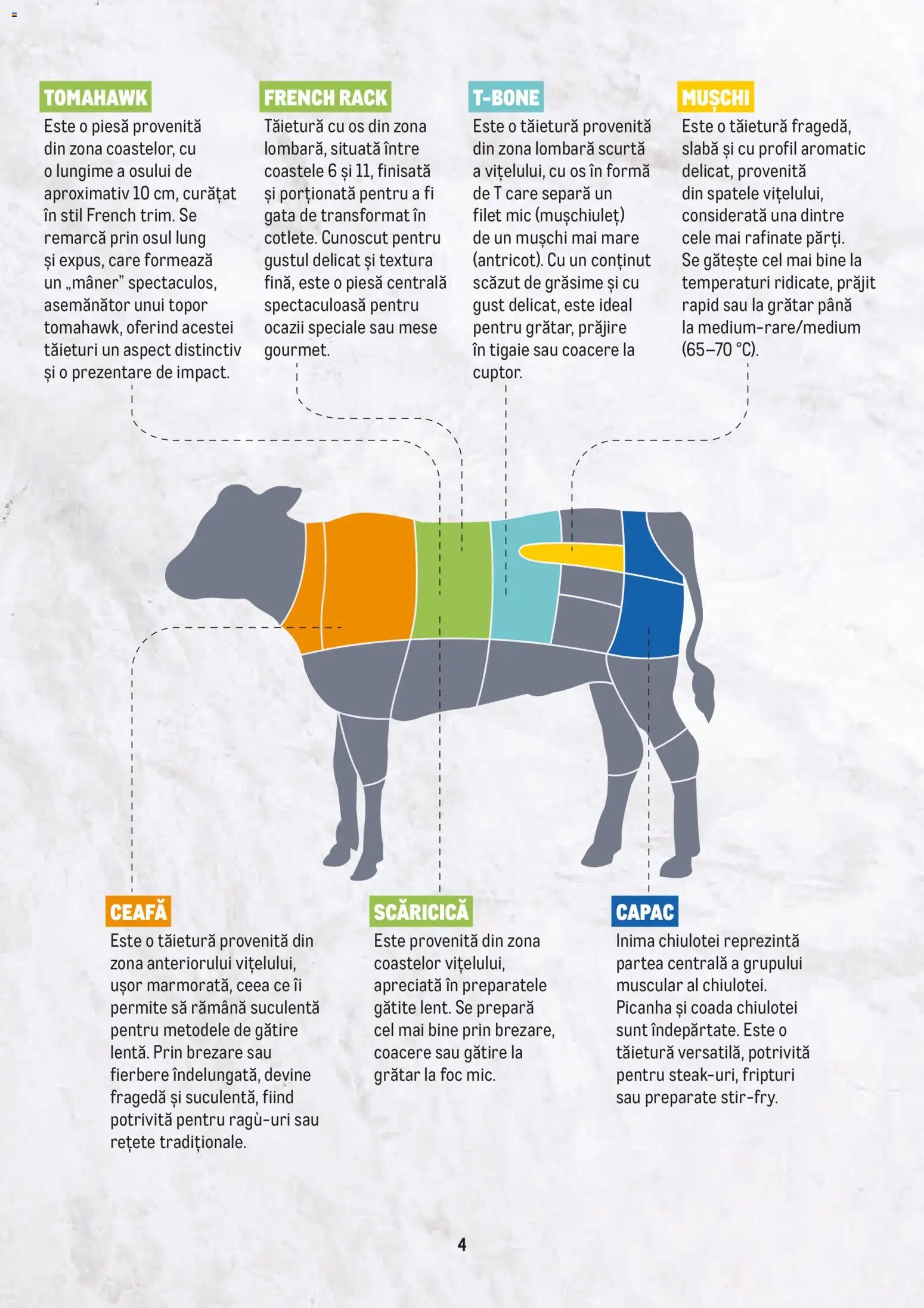 Noul catalog Metro – valabil de la 23.02.2026 | Pagină: 4 | Produse: Tigaie, Grătar, Mușchi