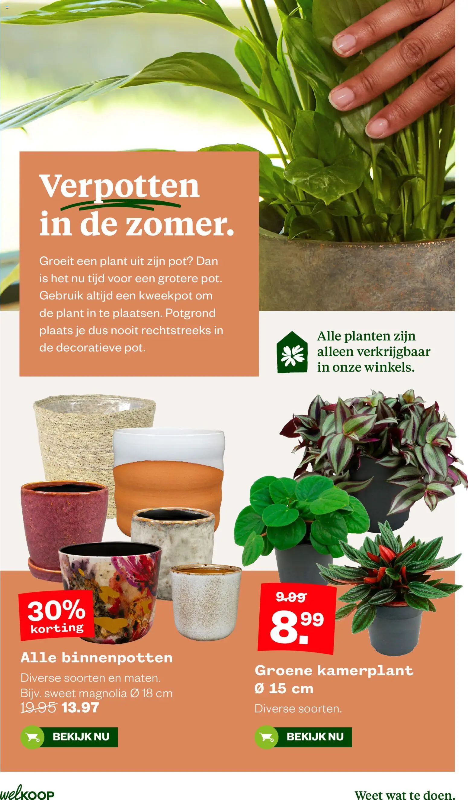 {H1} | Pagina: 16 | Producten: Pot, Potgrond
