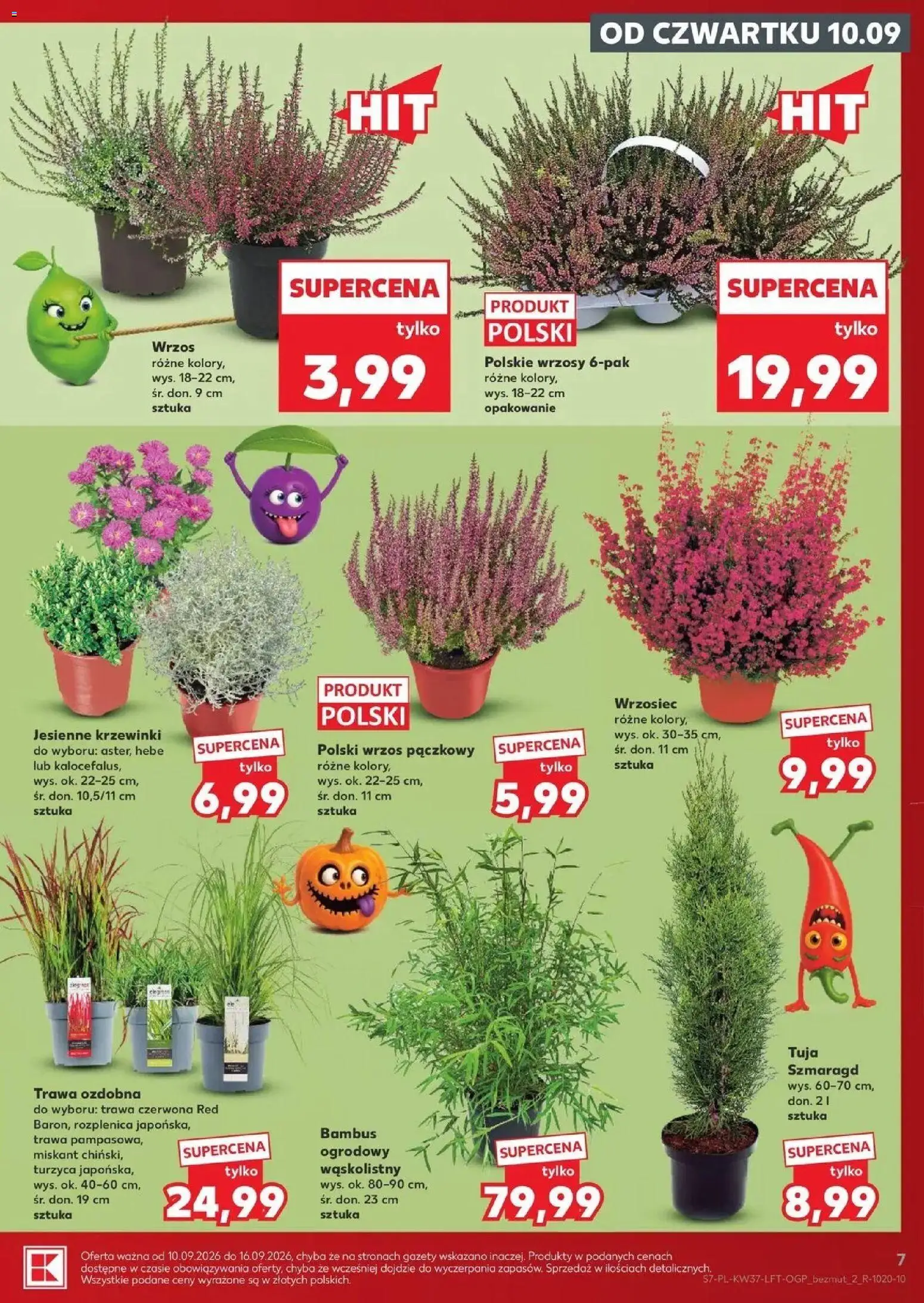 Kaufland gazetka od 10.09.2026 - od jutra PDF | Strona: 7 | Produkty: Wrzos, Gazety