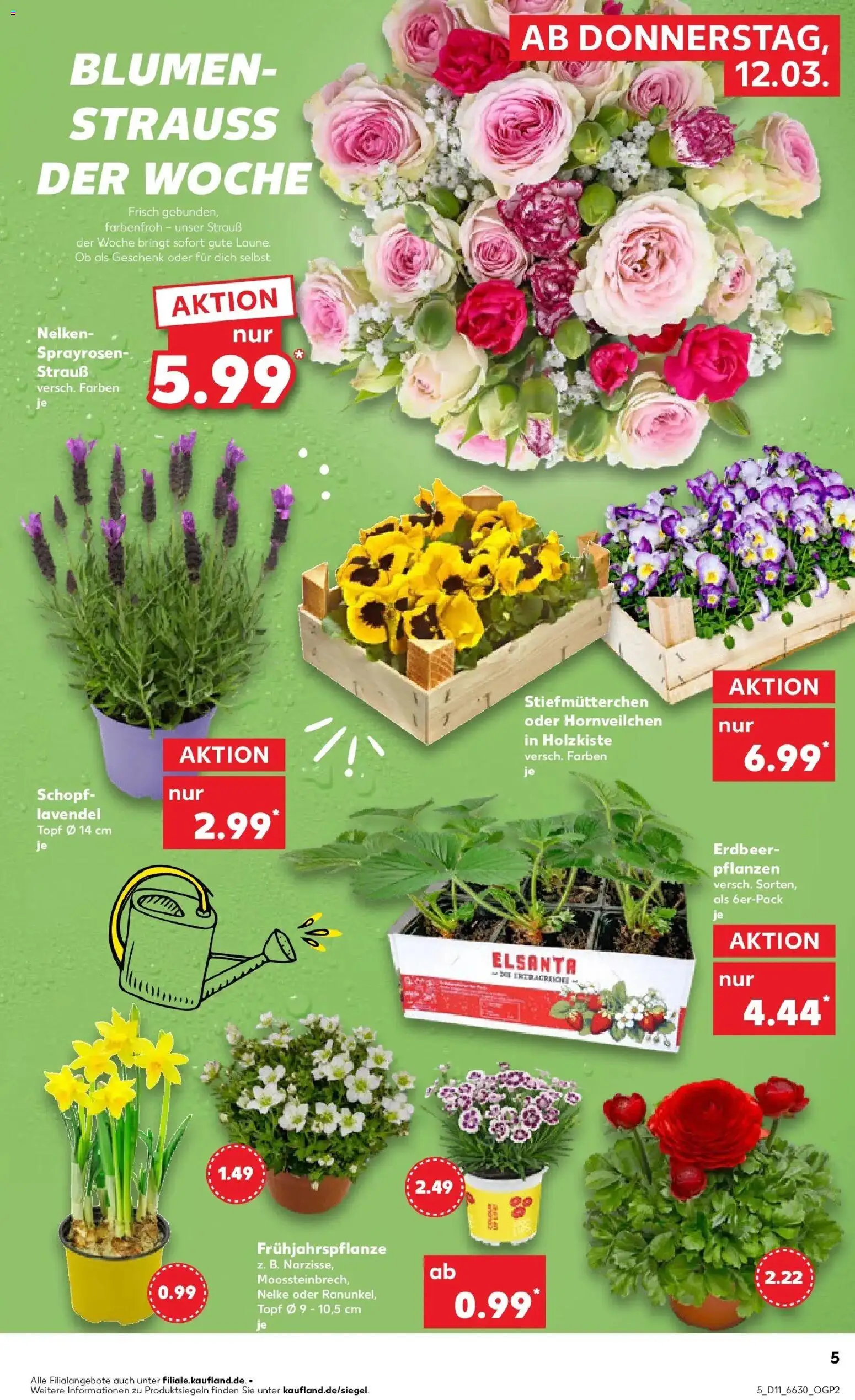 Kaufland Prospekt Iserlohn	 – gültig ab 09.03.2026 | Seite: 17 | Produkte: Stiefmutterchen, Box, Blumen, Lavendel